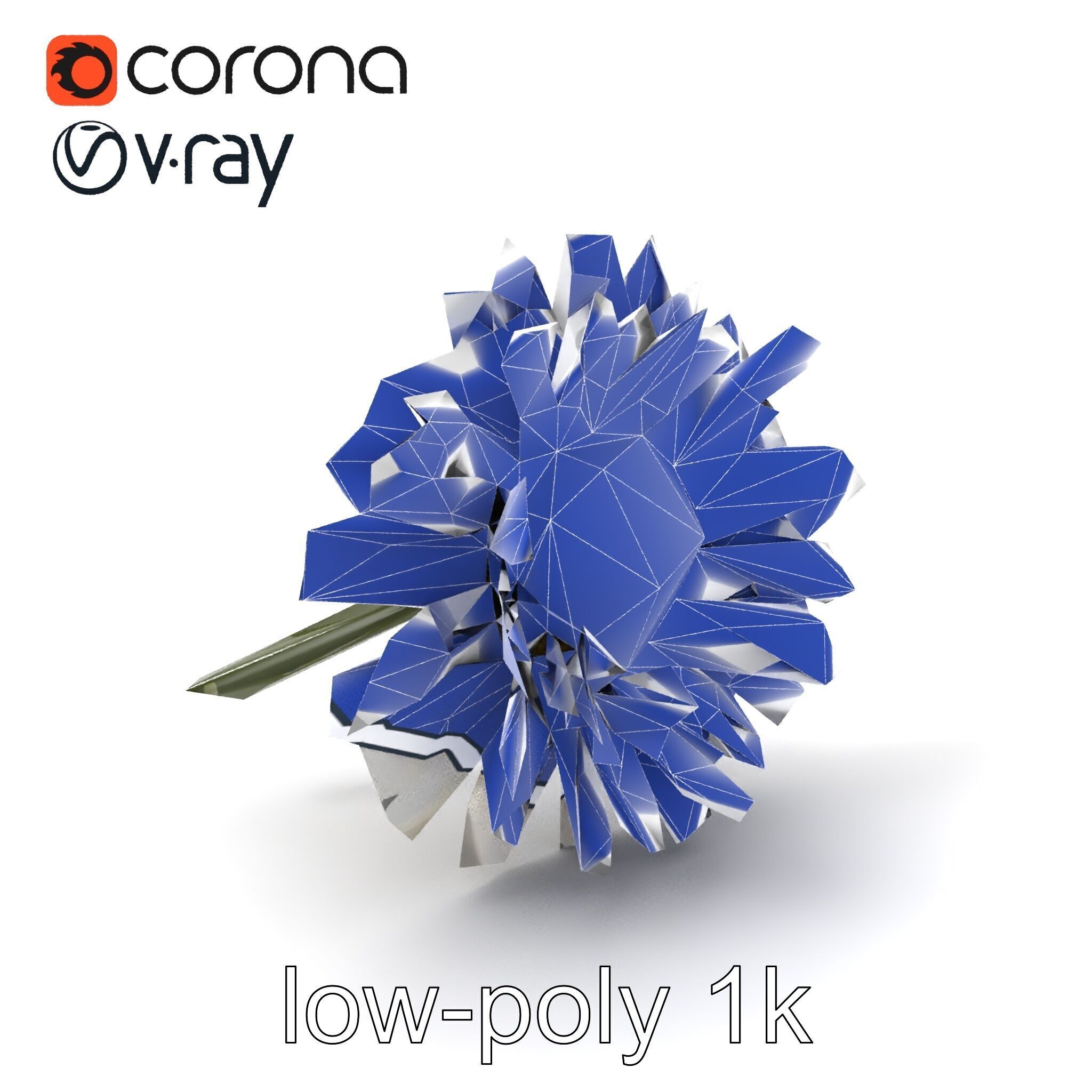 Leucanthemum Vulgare Realistic Flower Model Pack Low-poly 3D model_7