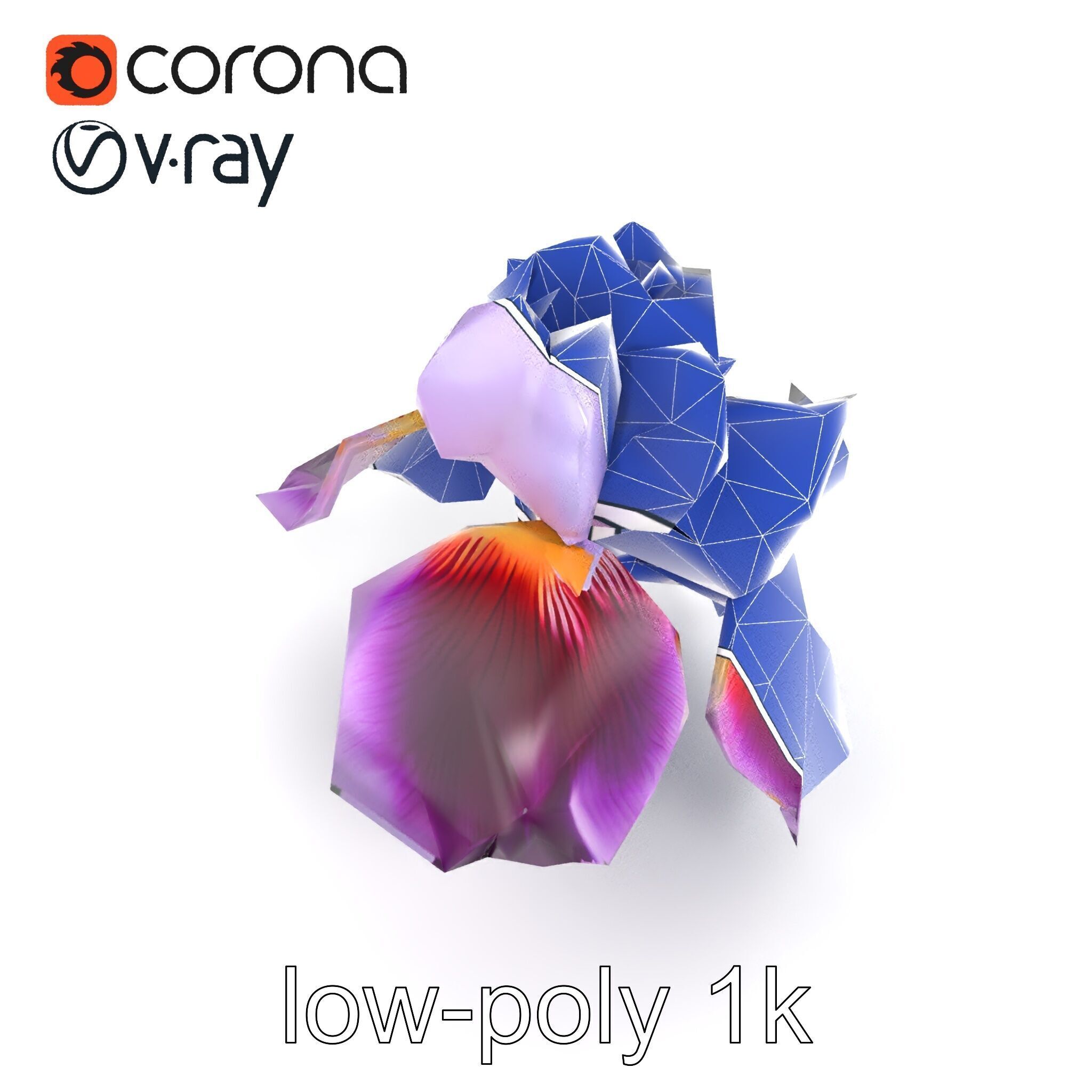Japanese Iris Flower Realistic Model Pack Low-poly 3D model_14