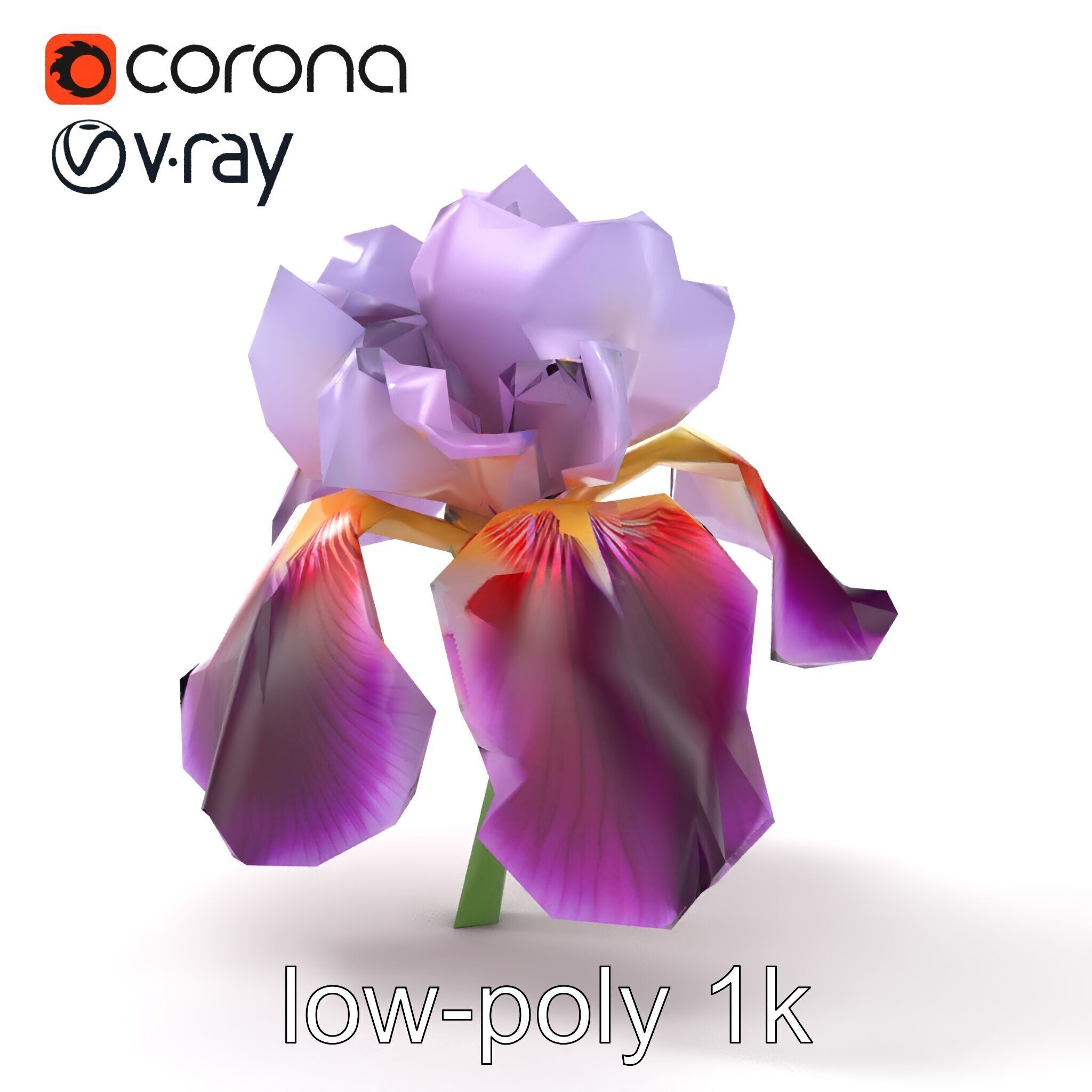 Japanese Iris Flower Realistic Model Pack Low-poly 3D model_28