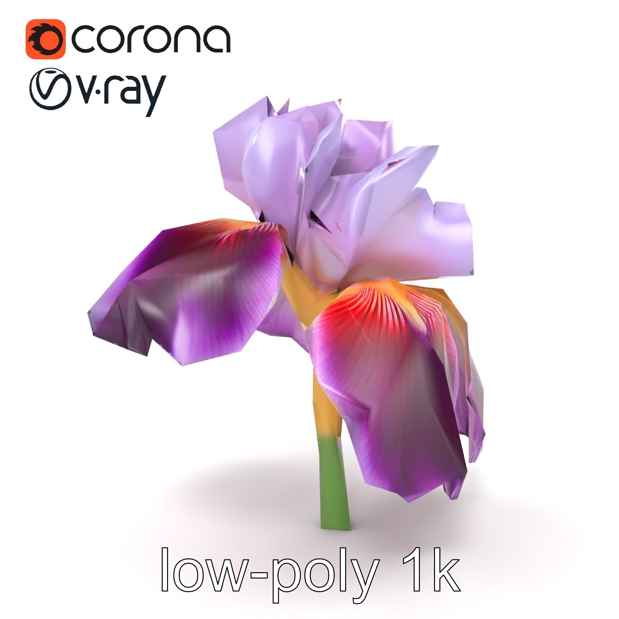 Japanese Iris Flower Realistic Model Pack Low-poly 3D model_30
