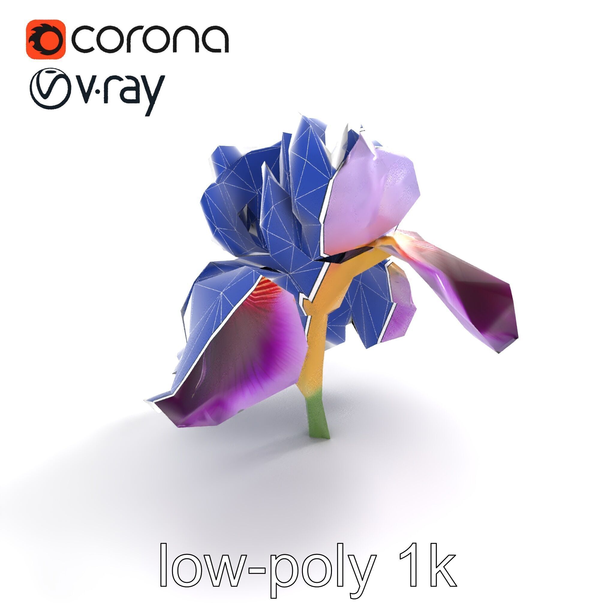 Japanese Iris Flower Realistic Model Pack Low-poly 3D model_11