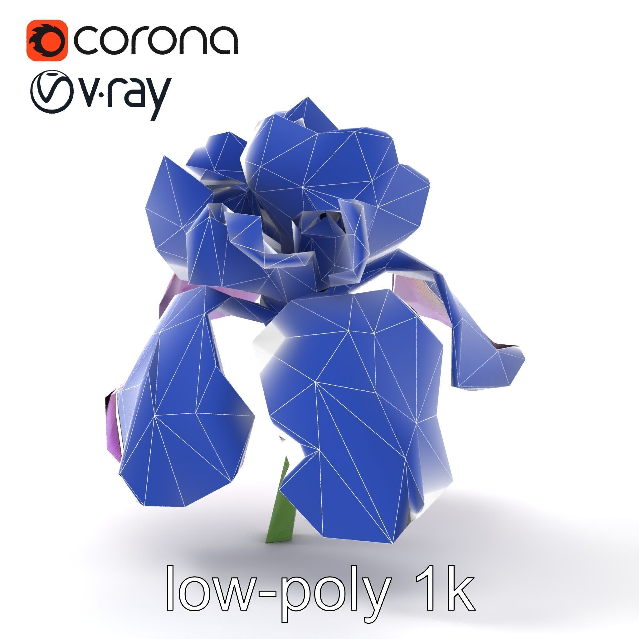 Japanese Iris Flower Realistic Model Pack Low-poly 3D model_20