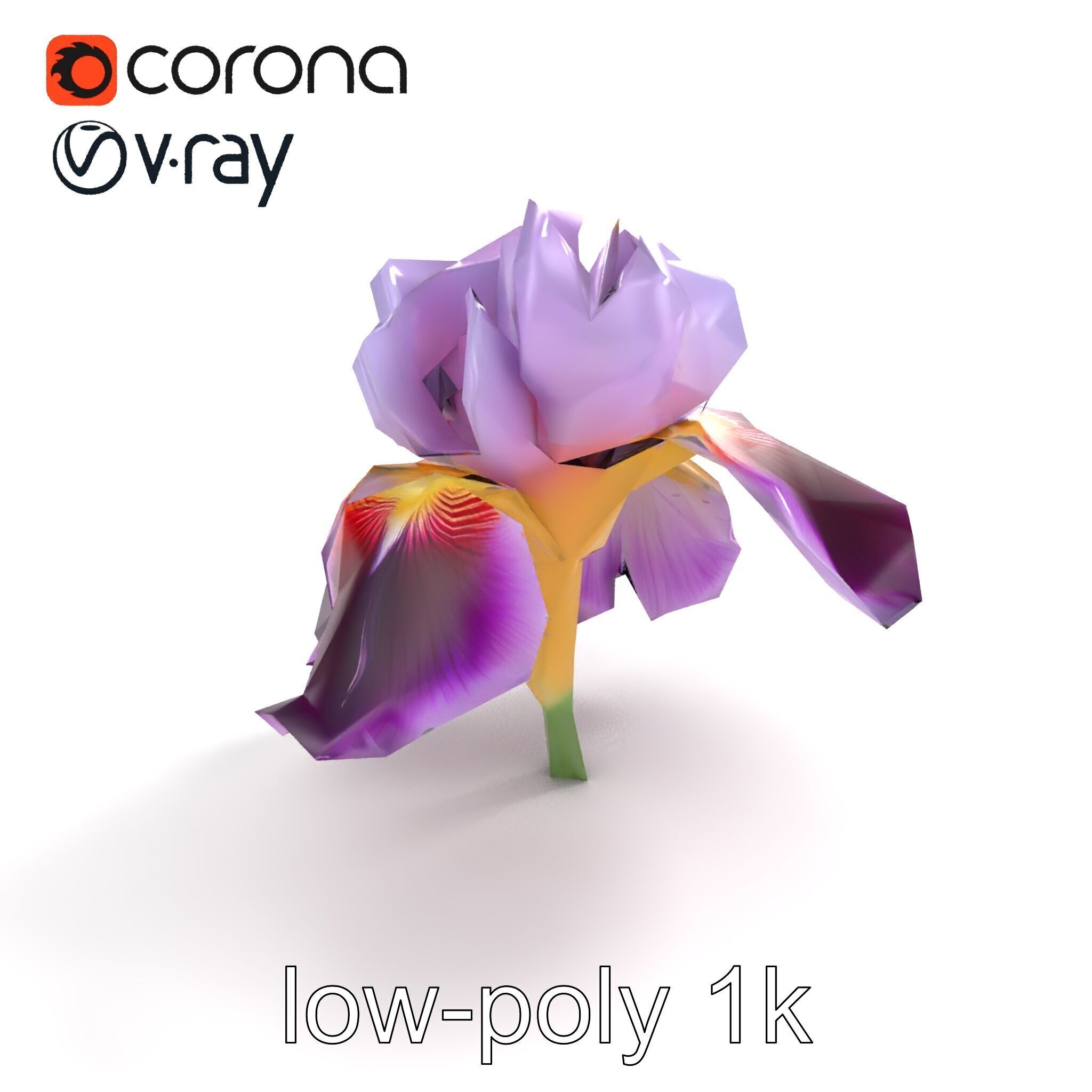Japanese Iris Flower Realistic Model Pack Low-poly 3D model_9