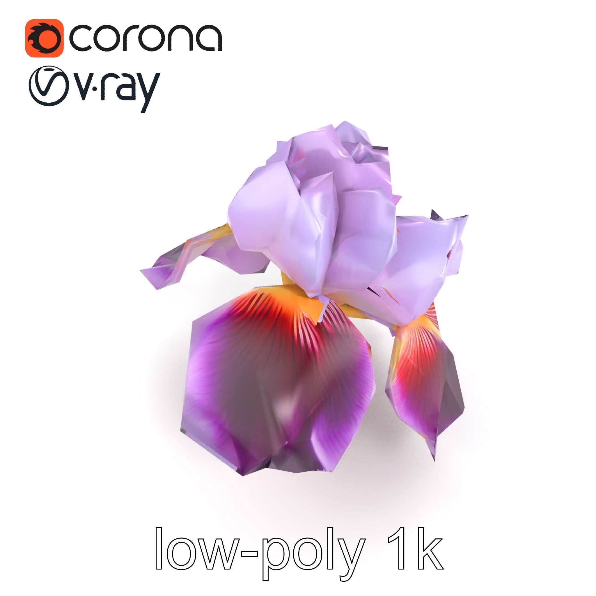 Japanese Iris Flower Realistic Model Pack Low-poly 3D model_21