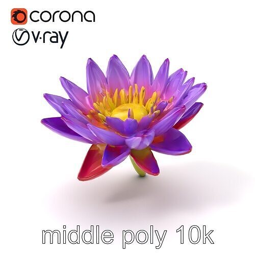 Soft Violet Water Lily model pack Low-poly 3D model