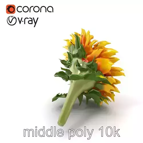 Sunflower Realistic Detailed 3D Model Pack Low-poly 3D model