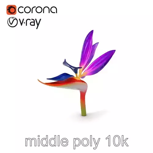 Strelitzia Reginae Exotic Purple Flower Model Pack Low-poly 3D model