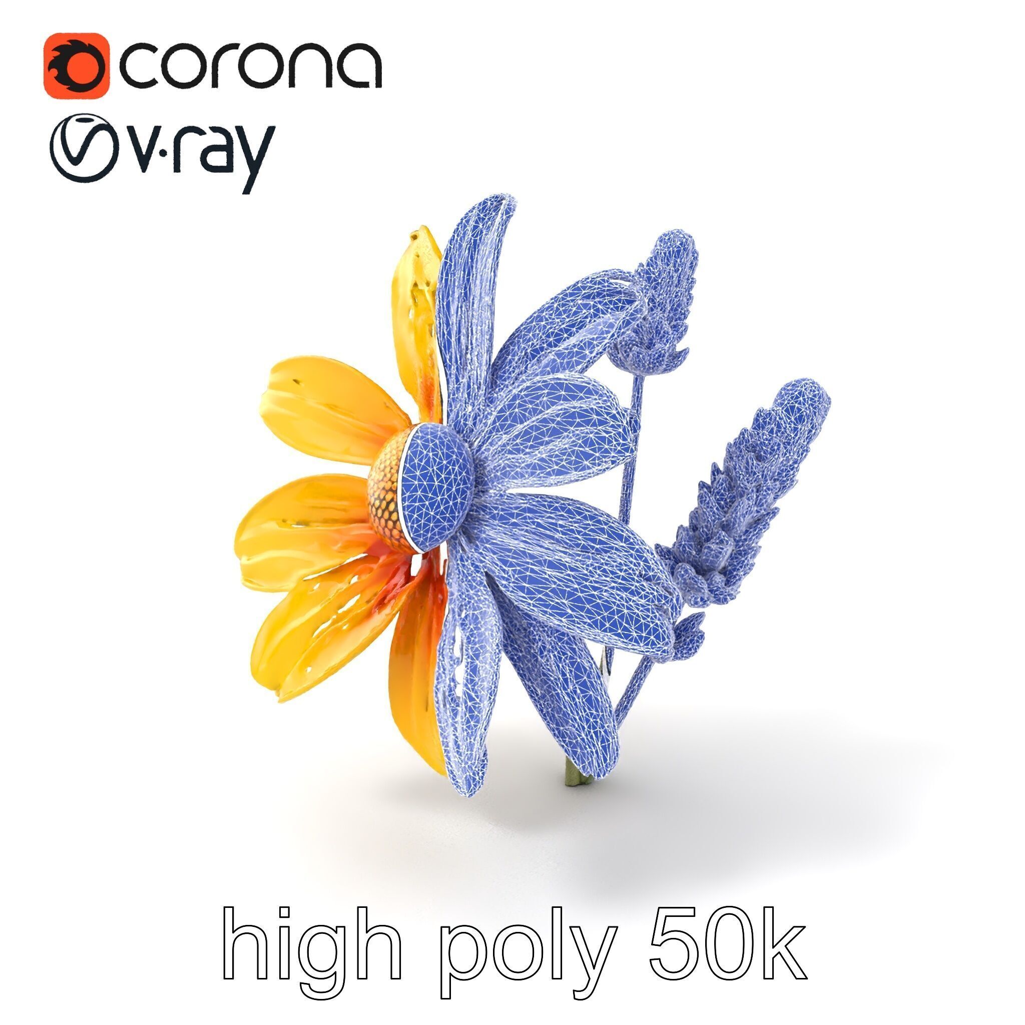 Lavandula Yellow Flower Model Pack with Textured Petals Low-poly 3D model_1
