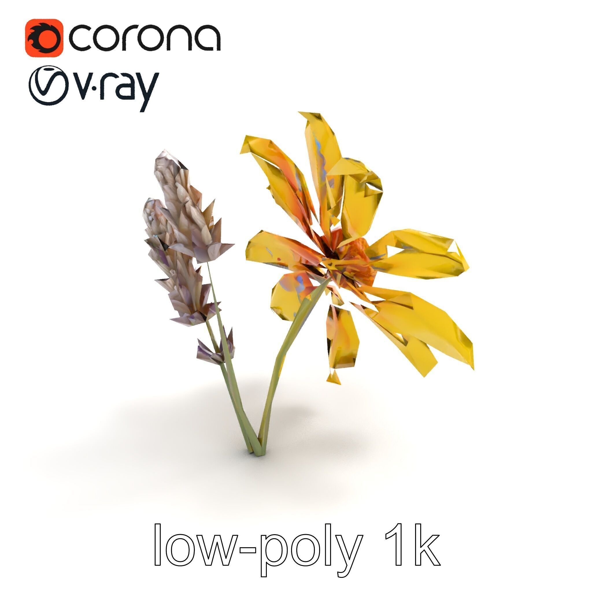 Lavandula Yellow Flower Model Pack with Textured Petals Low-poly 3D model_8