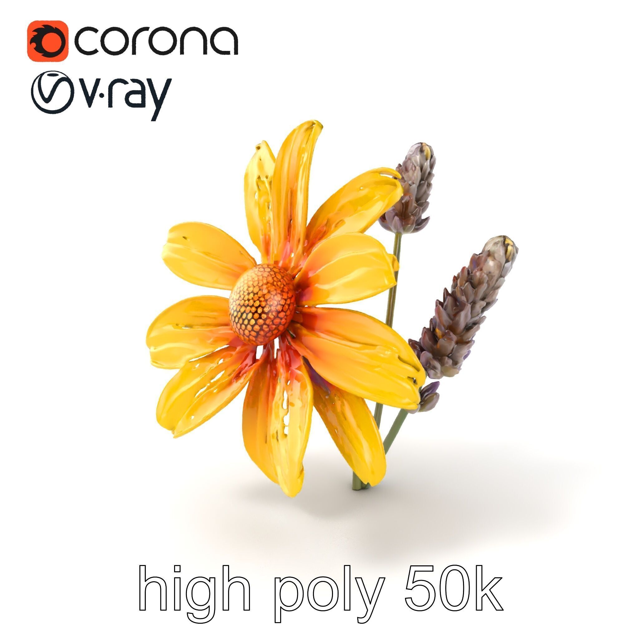 Lavandula Yellow Flower Model Pack with Textured Petals Low-poly 3D model_2