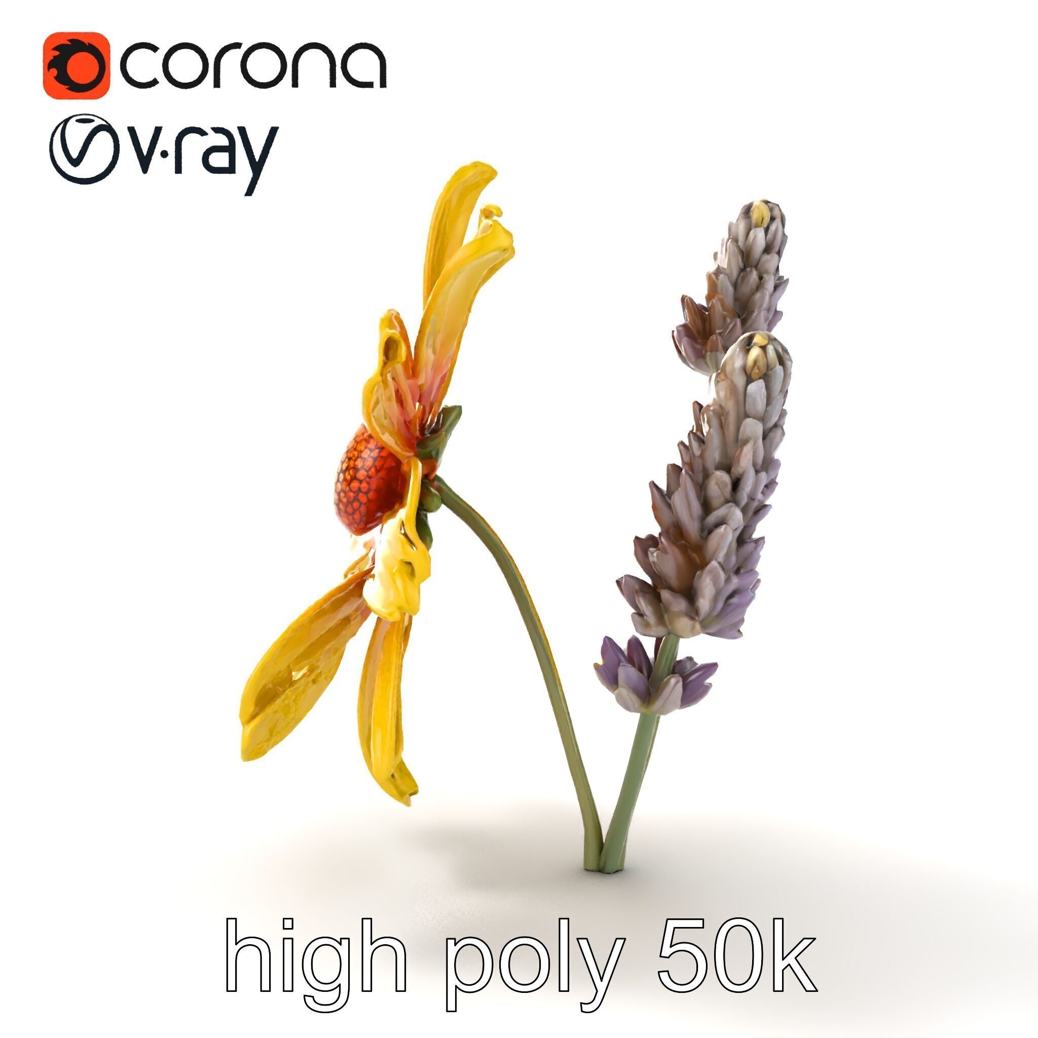 Lavandula Yellow Flower Model Pack with Textured Petals Low-poly 3D model_19