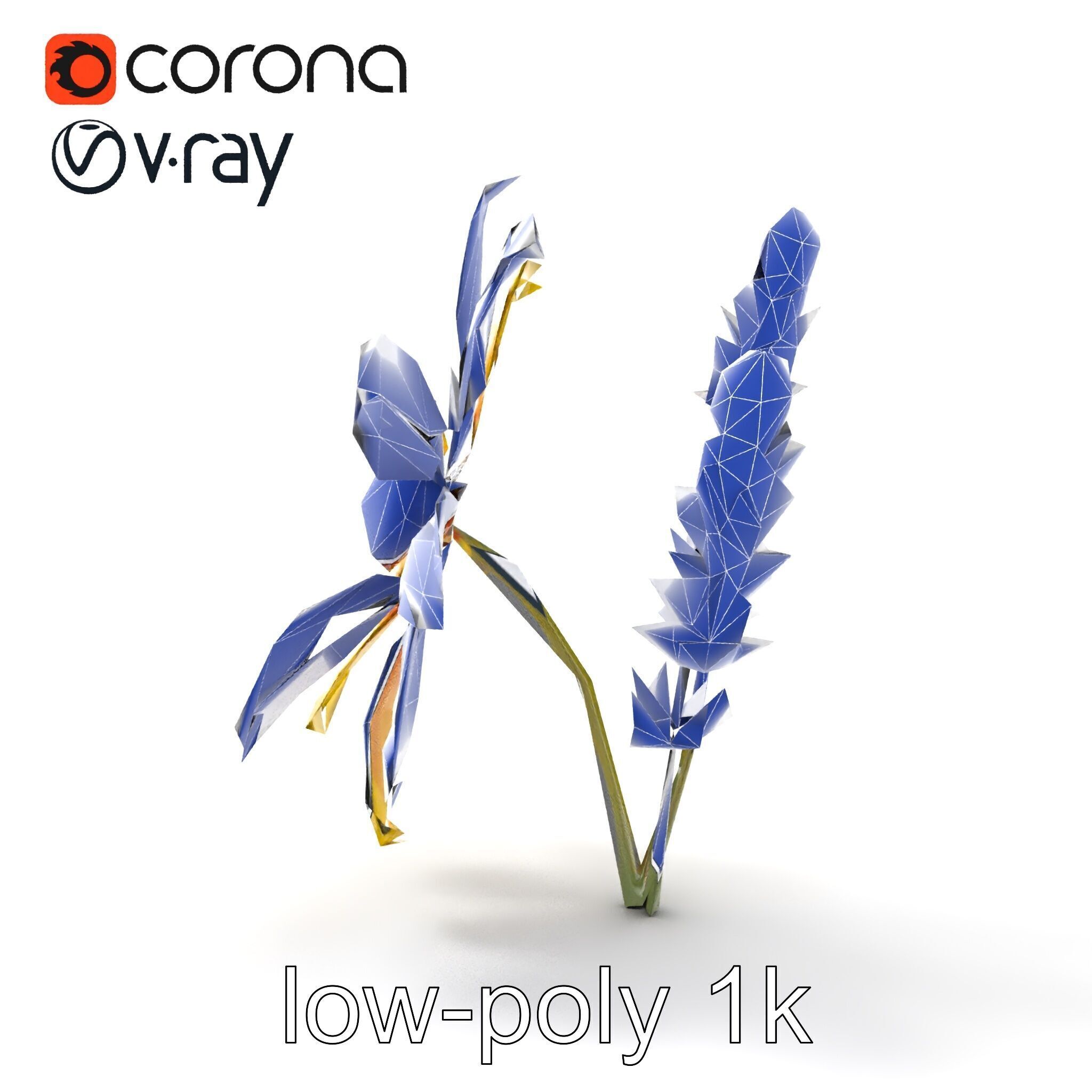 Lavandula Yellow Flower Model Pack with Textured Petals Low-poly 3D model_26