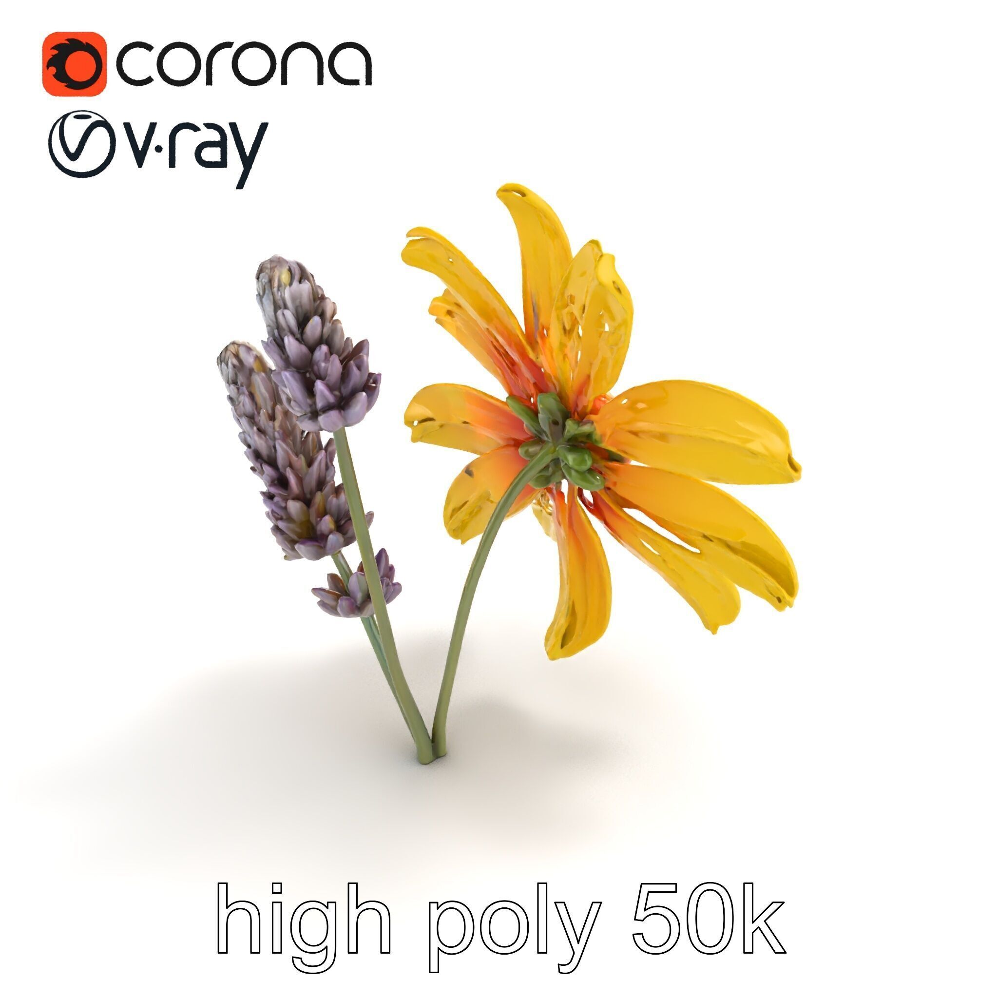Lavandula Yellow Flower Model Pack with Textured Petals Low-poly 3D model_9