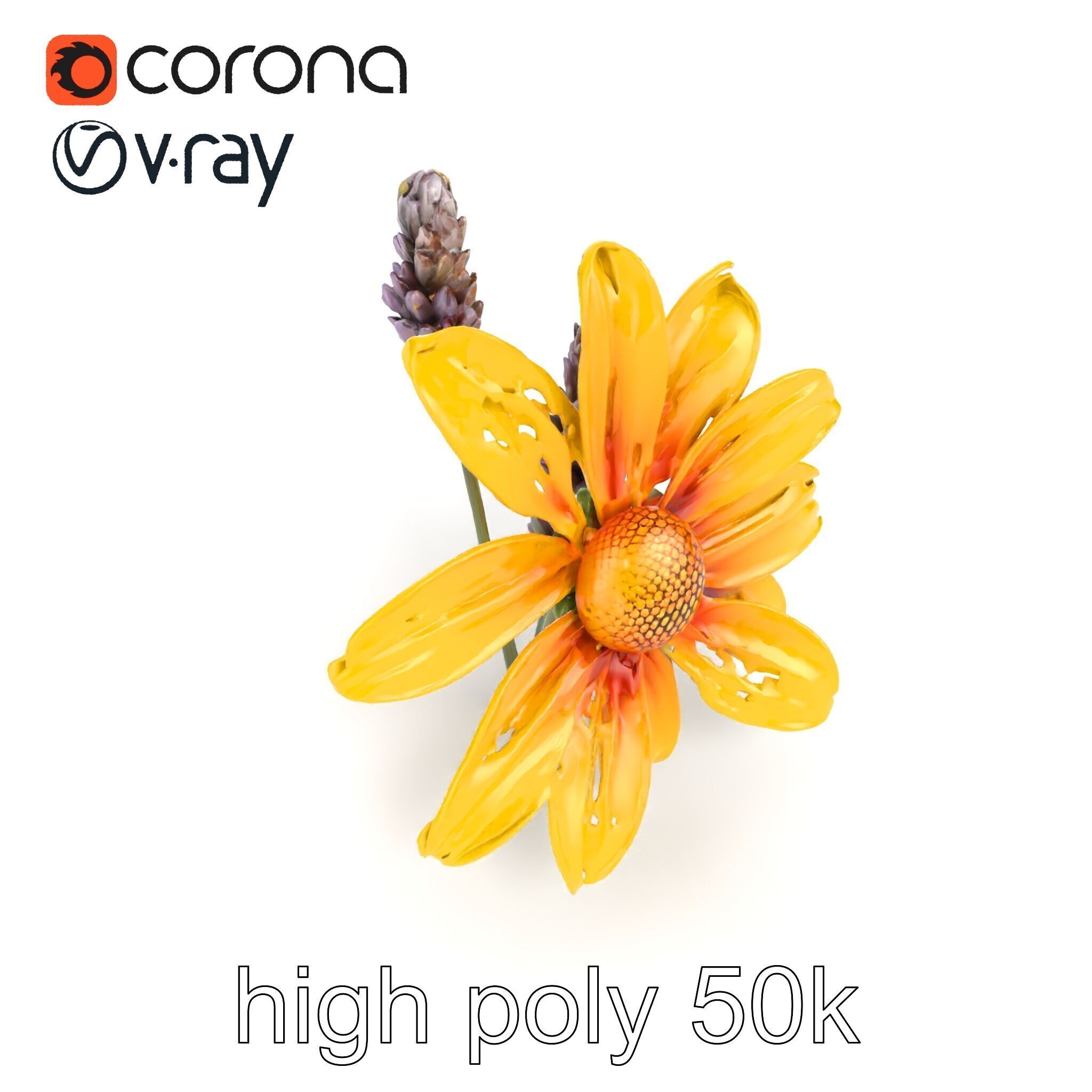 Lavandula Yellow Flower Model Pack with Textured Petals Low-poly 3D model_24