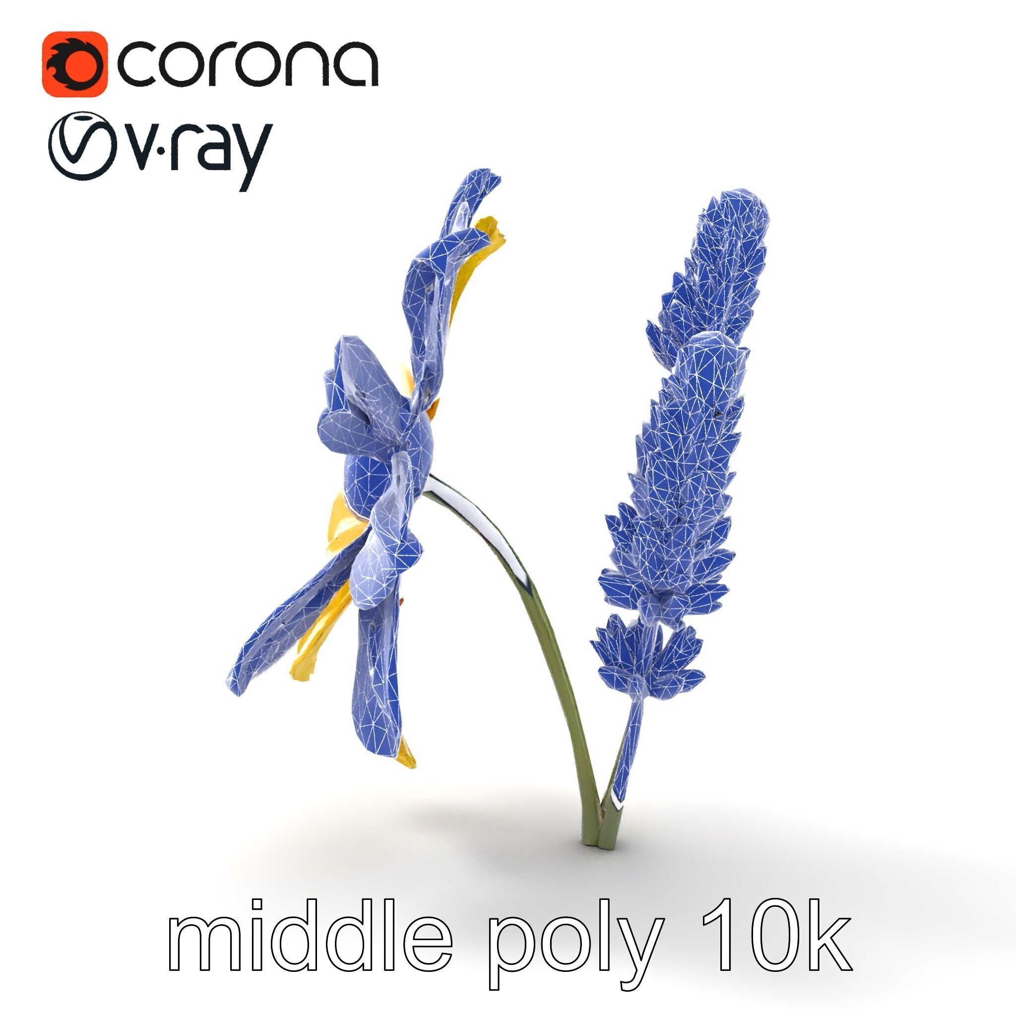 Lavandula Yellow Flower Model Pack with Textured Petals Low-poly 3D model_11