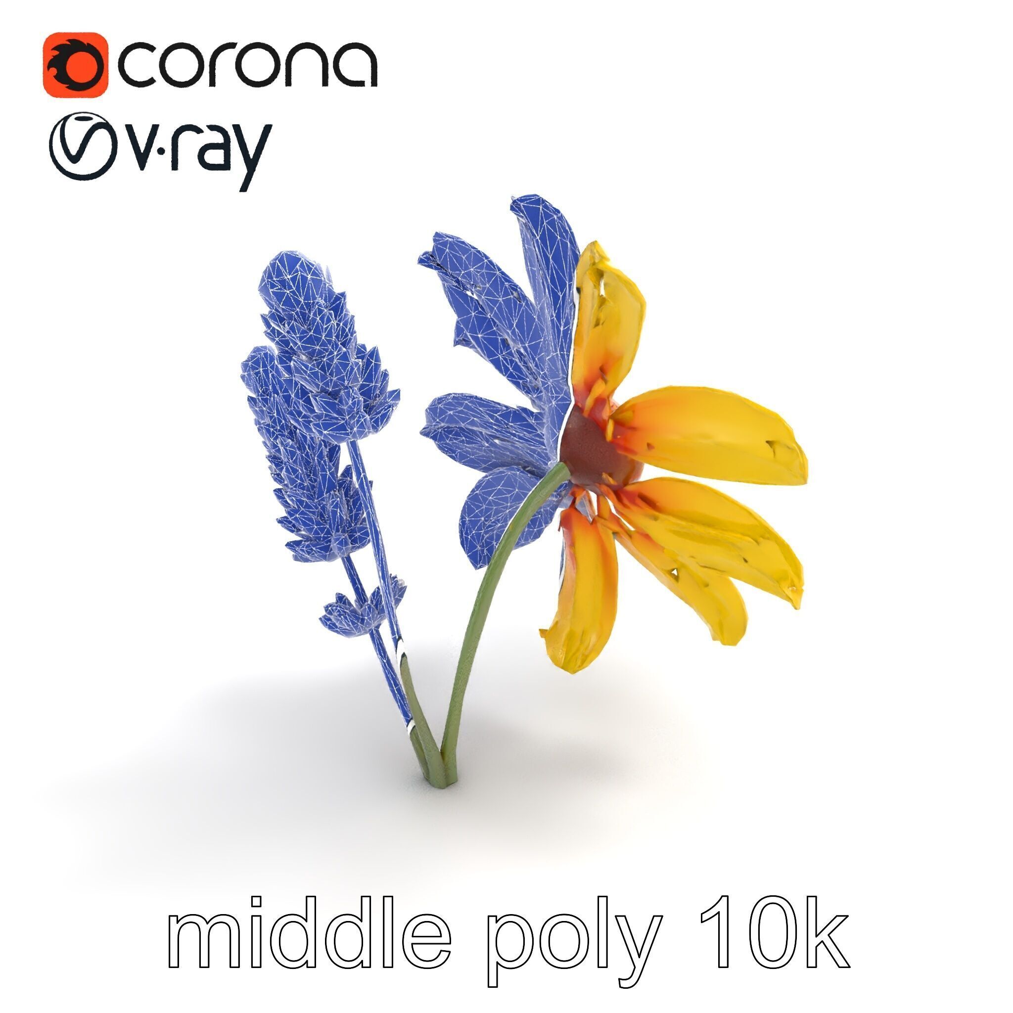 Lavandula Yellow Flower Model Pack with Textured Petals Low-poly 3D model_21