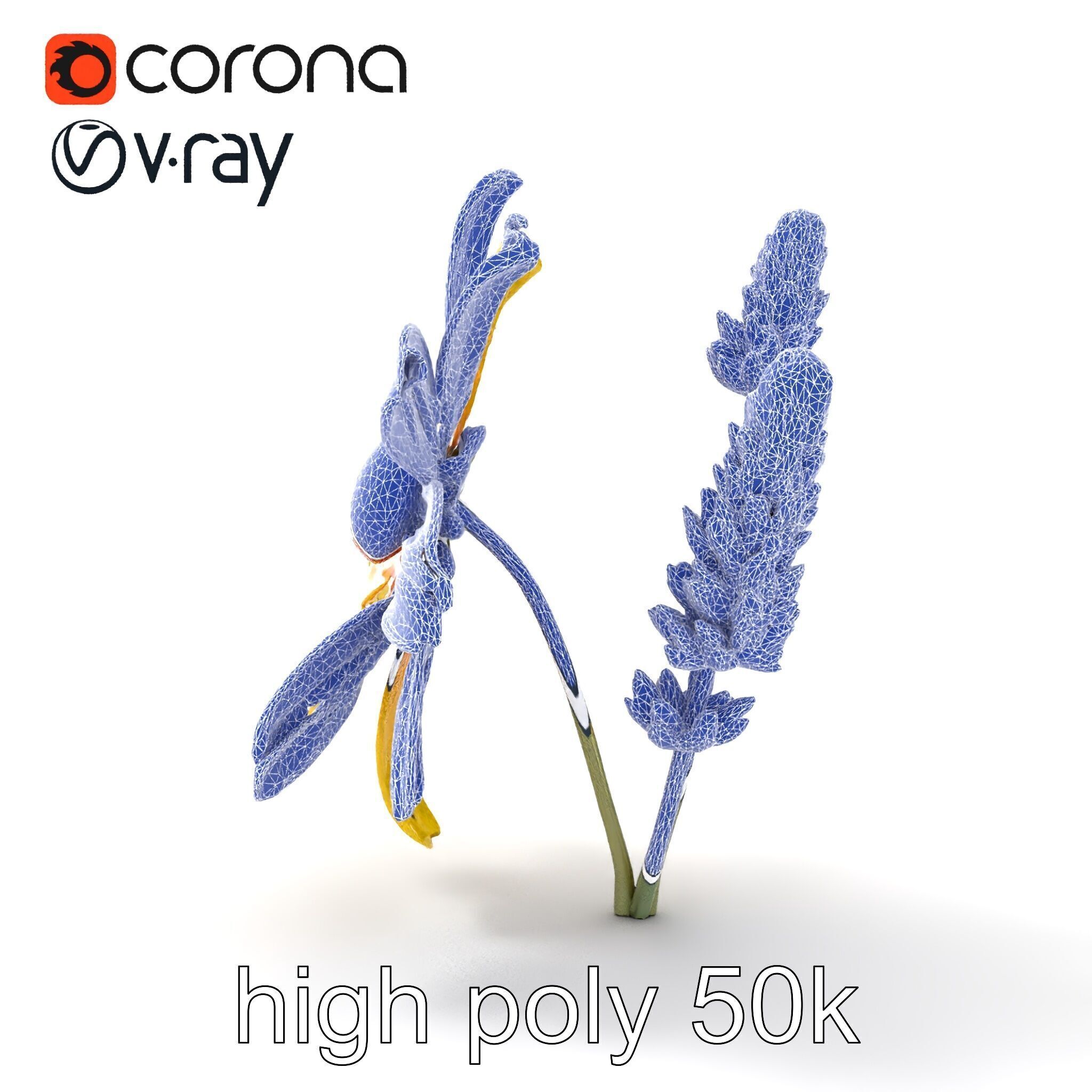 Lavandula Yellow Flower Model Pack with Textured Petals Low-poly 3D model_22
