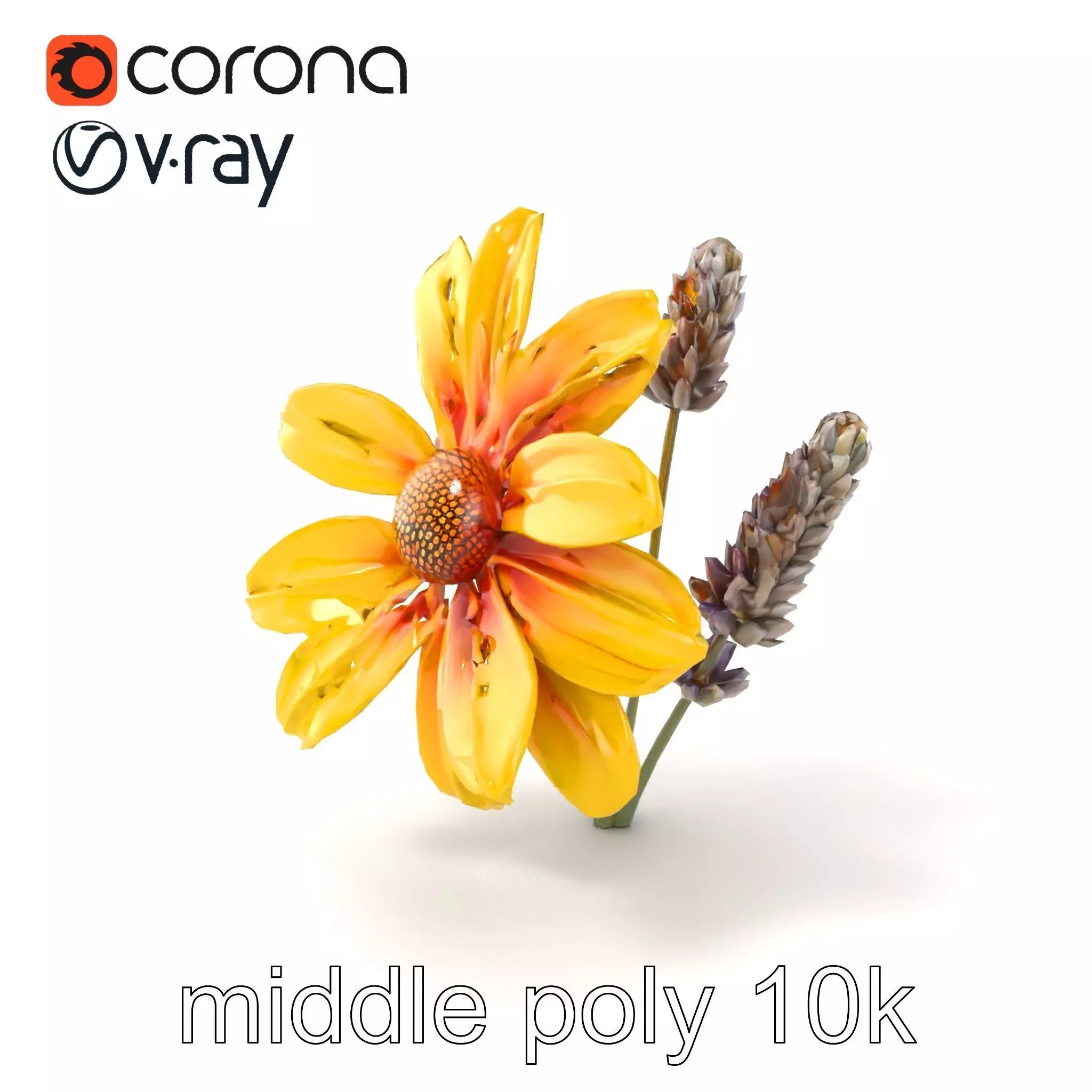 Lavandula Yellow Flower Model Pack with Textured Petals Low-poly 3D model_0