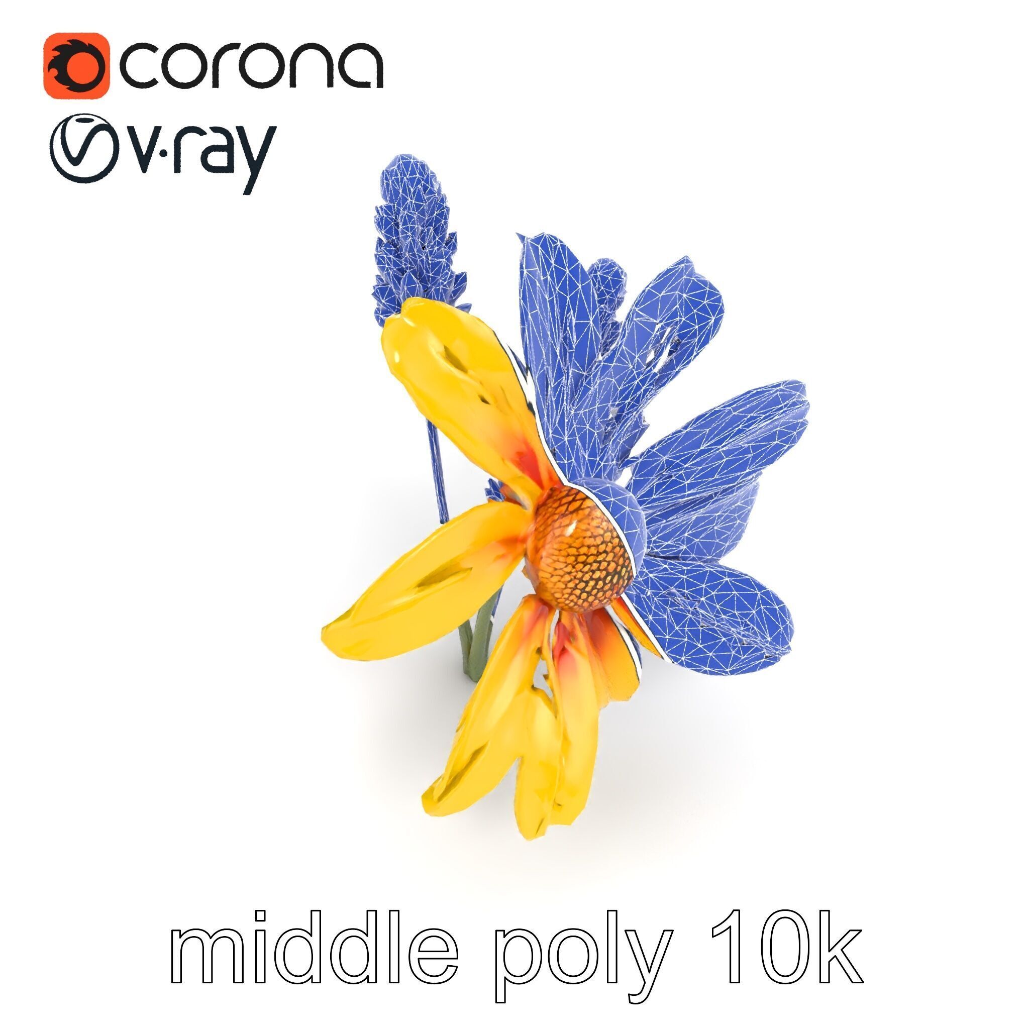 Lavandula Yellow Flower Model Pack with Textured Petals Low-poly 3D model_14