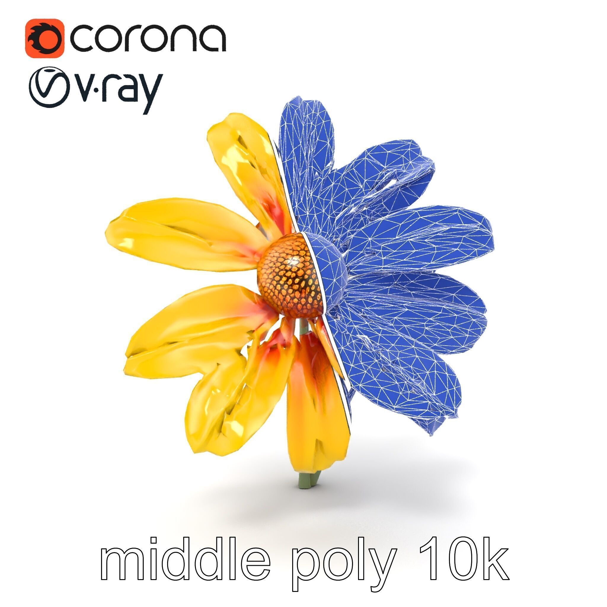 Lavandula Yellow Flower Model Pack with Textured Petals Low-poly 3D model_27