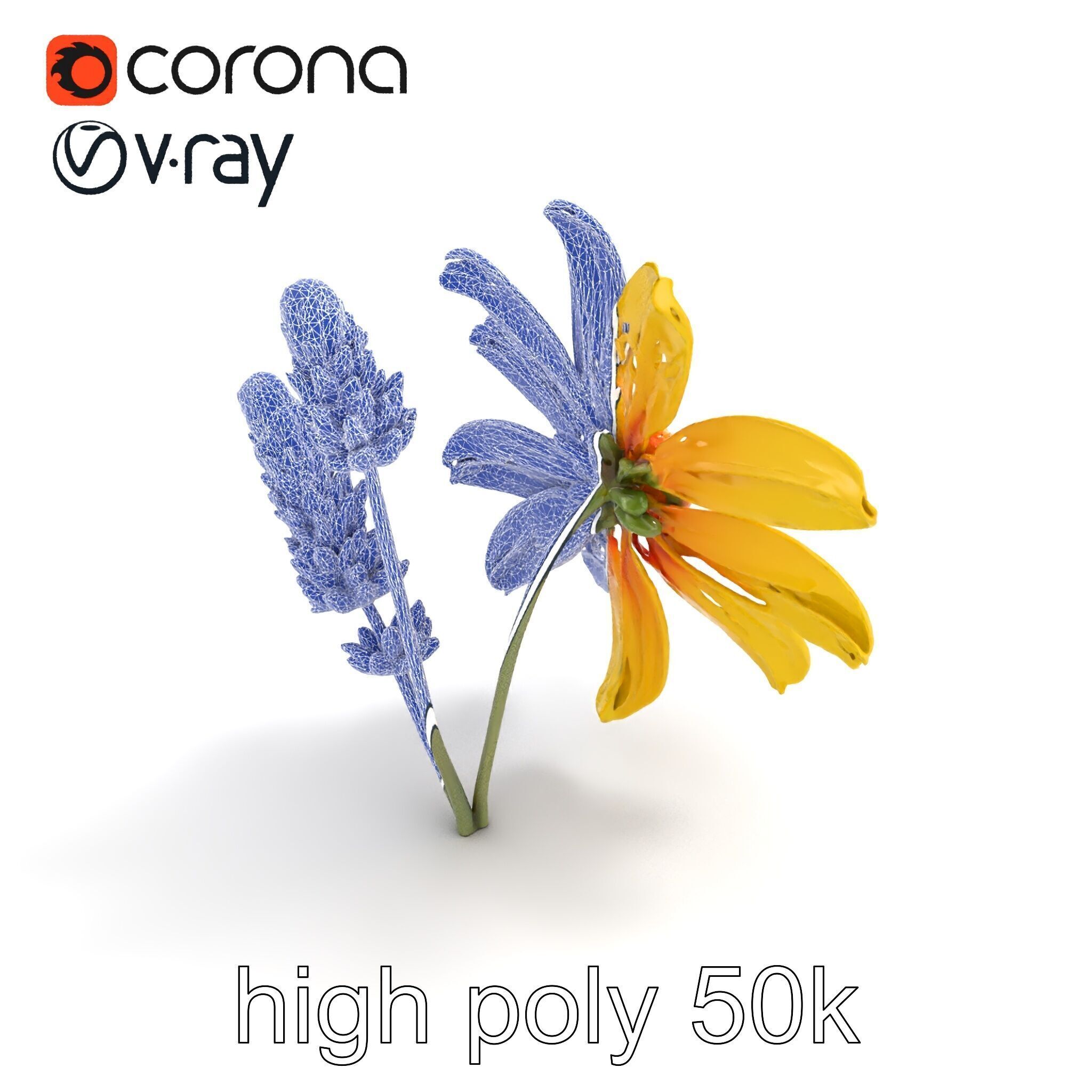 Lavandula Yellow Flower Model Pack with Textured Petals Low-poly 3D model_12