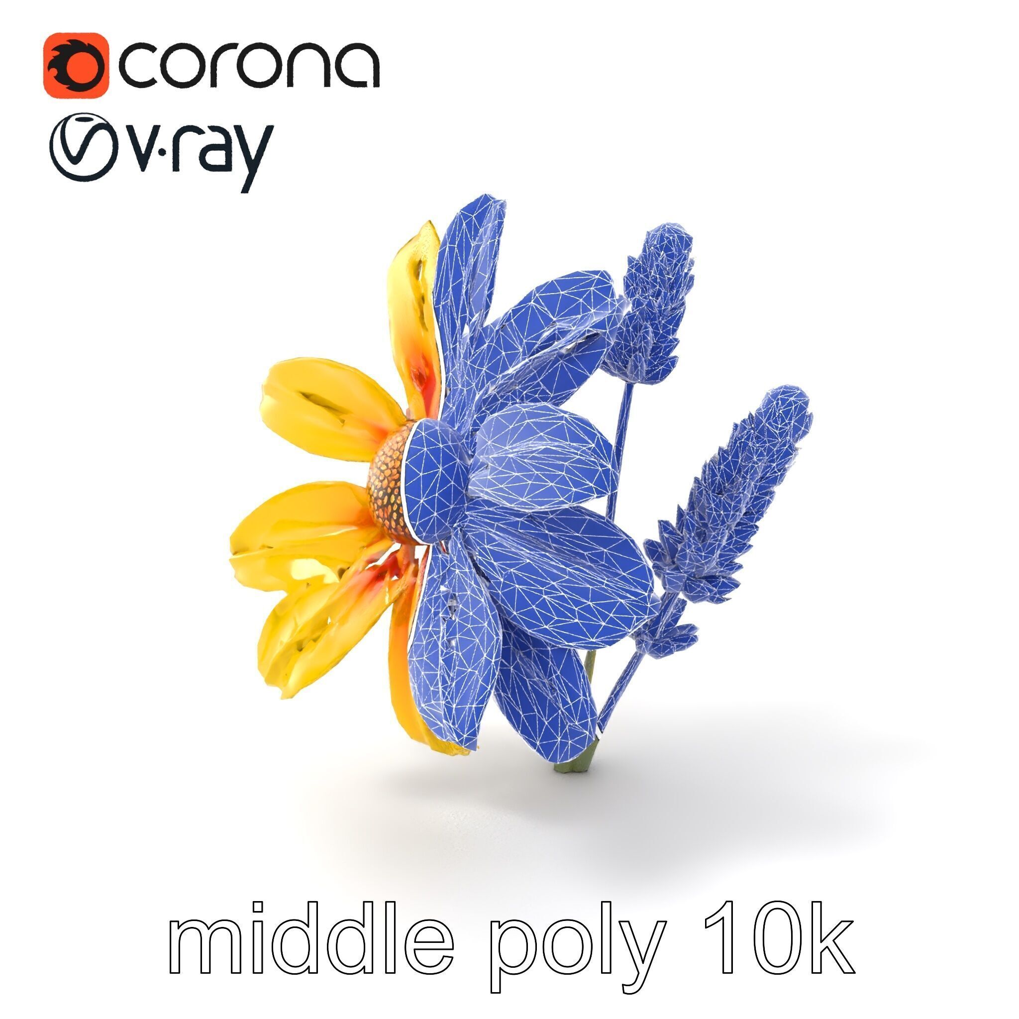 Lavandula Yellow Flower Model Pack with Textured Petals Low-poly 3D model_5