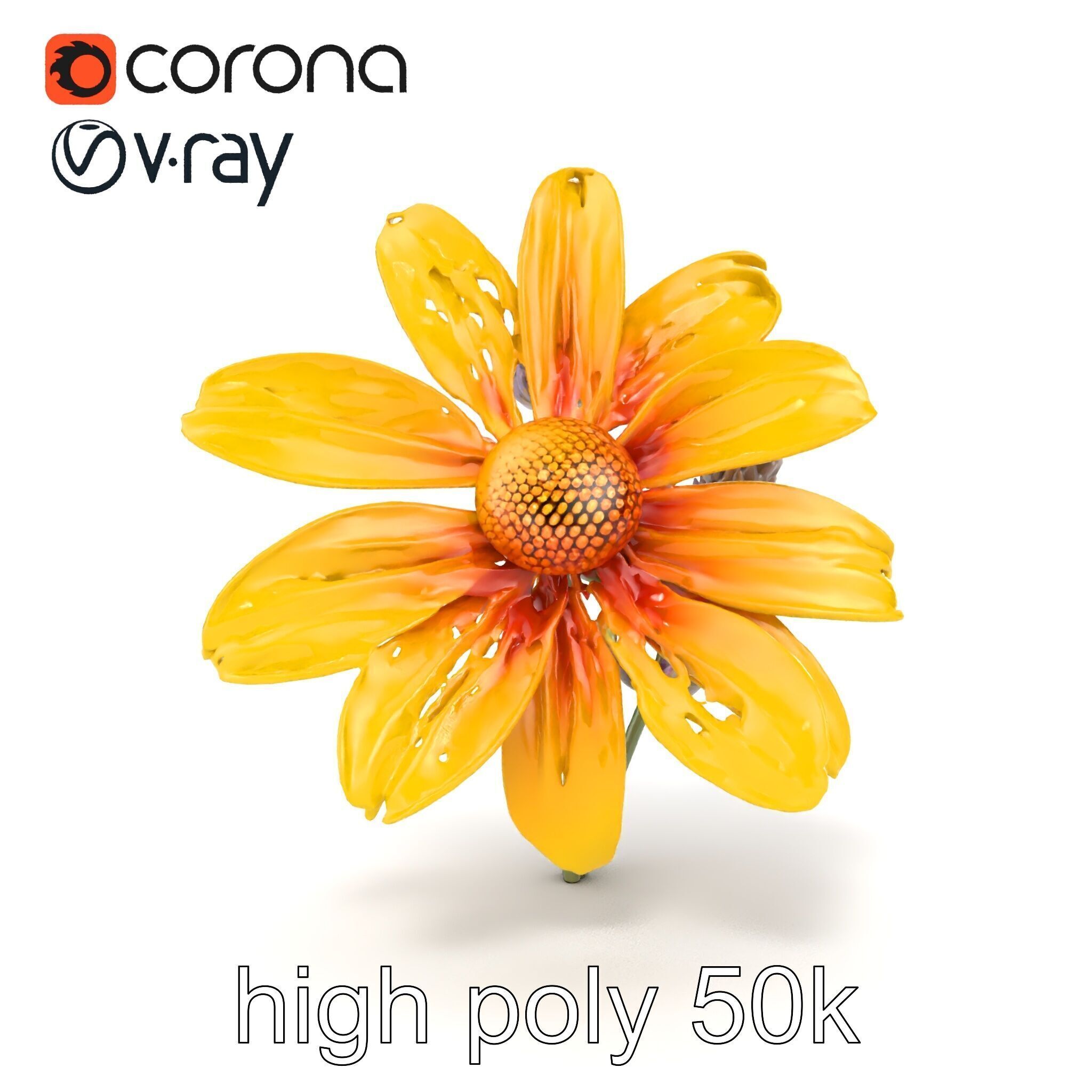 Lavandula Yellow Flower Model Pack with Textured Petals Low-poly 3D model_25