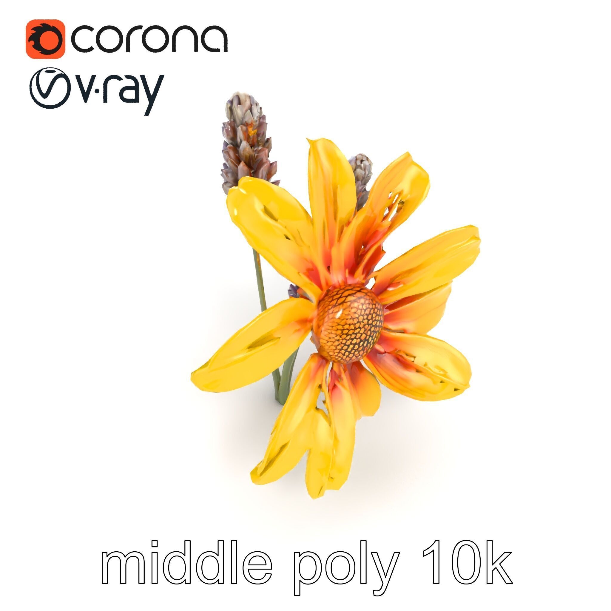 Lavandula Yellow Flower Model Pack with Textured Petals Low-poly 3D model_10