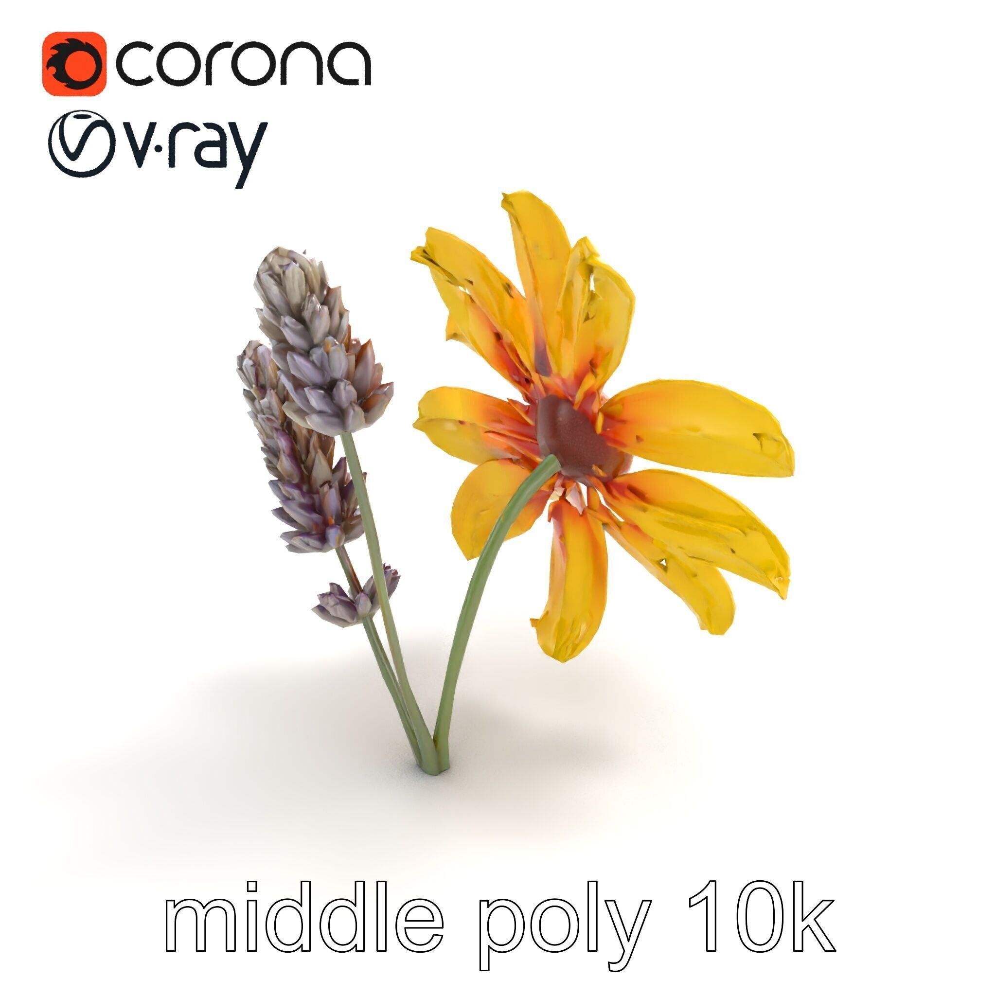 Lavandula Yellow Flower Model Pack with Textured Petals Low-poly 3D model_7