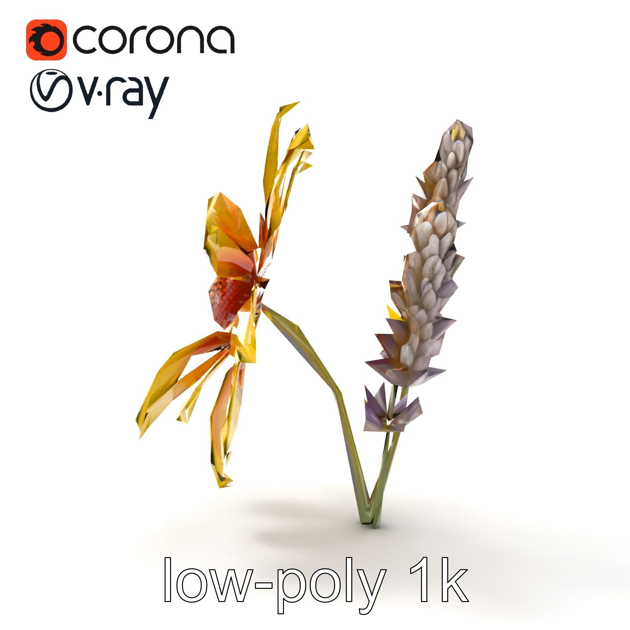 Lavandula Yellow Flower Model Pack with Textured Petals Low-poly 3D model_30