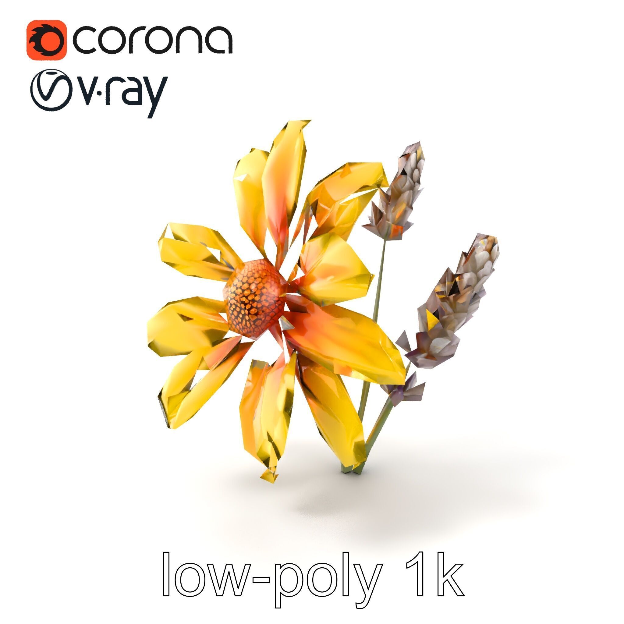 Lavandula Yellow Flower Model Pack with Textured Petals Low-poly 3D model_4