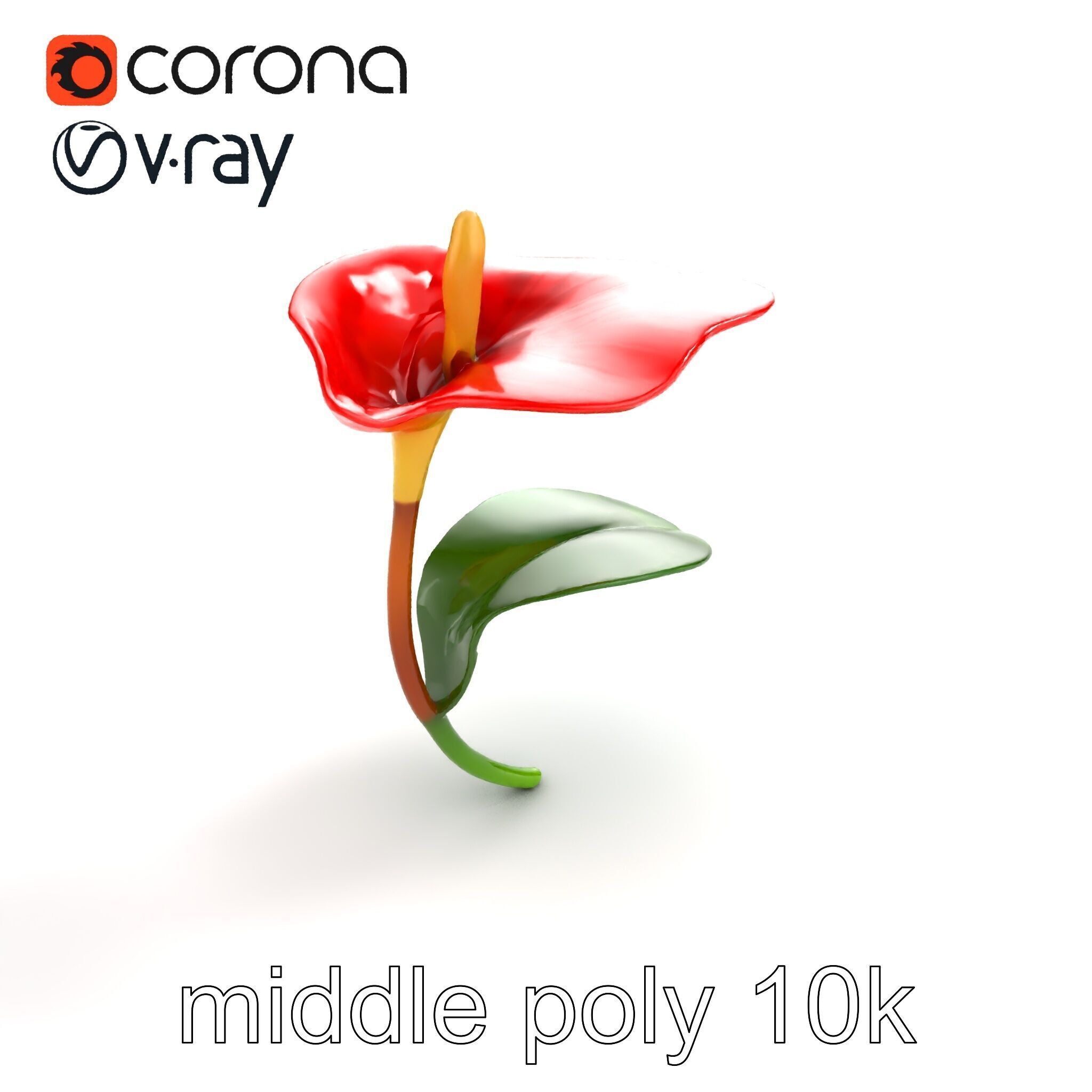 Miniature Anthurium Minor with Bright Petals model pack Low-poly 3D model_8