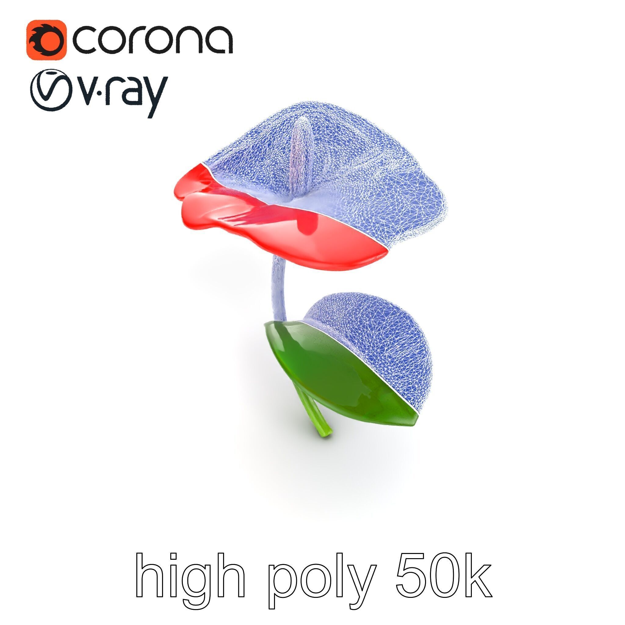Miniature Anthurium Minor with Bright Petals model pack Low-poly 3D model_29