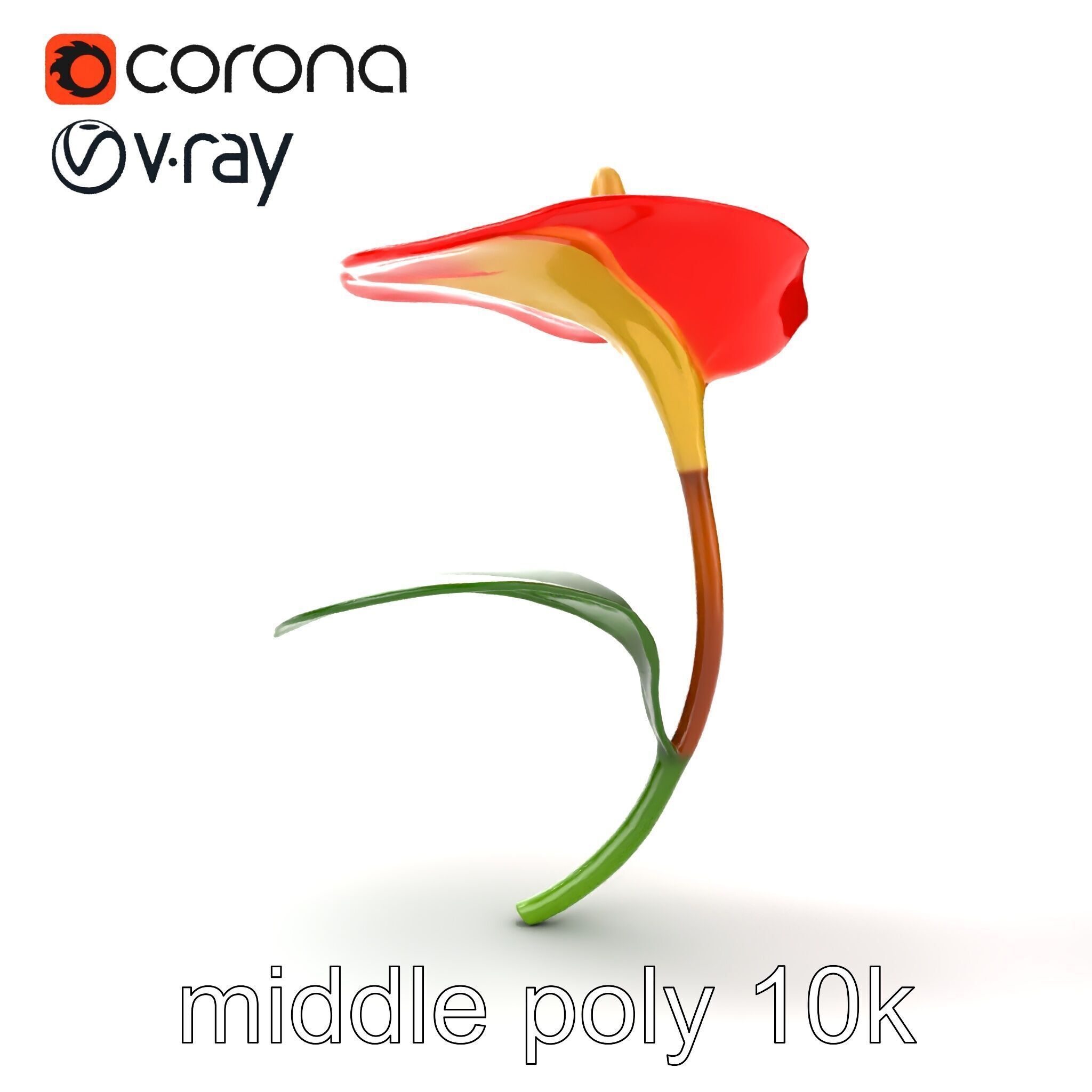 Miniature Anthurium Minor with Bright Petals model pack Low-poly 3D model_15