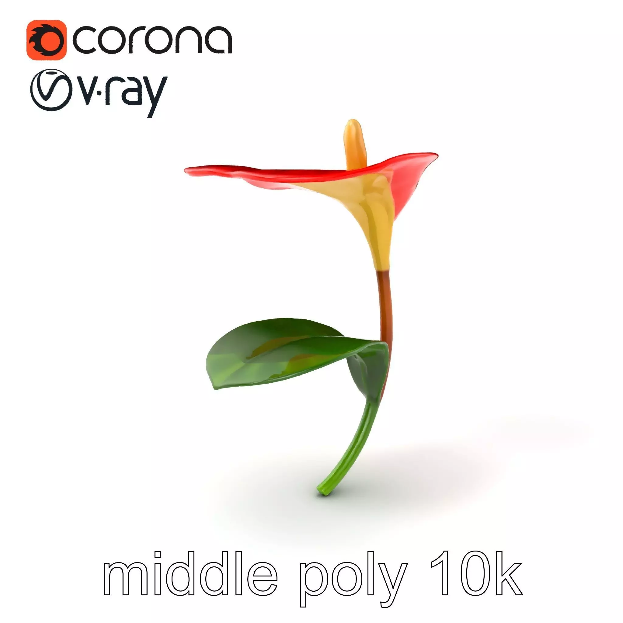 Miniature Anthurium Minor with Bright Petals model pack Low-poly 3D model_0