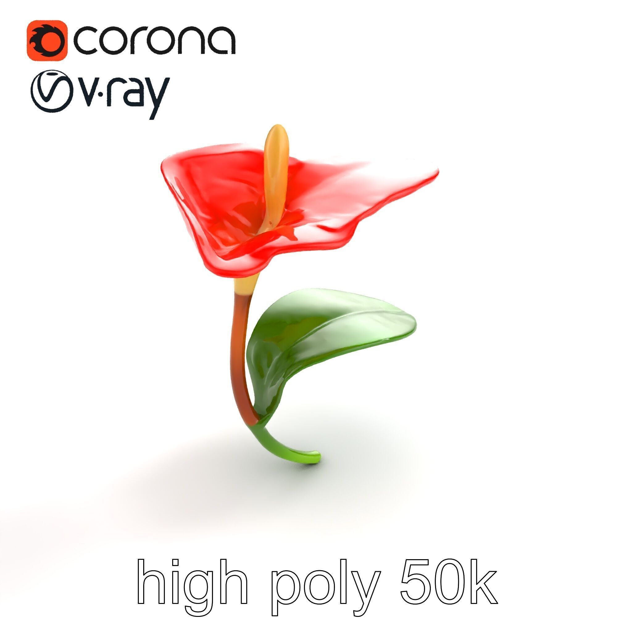 Miniature Anthurium Minor with Bright Petals model pack Low-poly 3D model_18