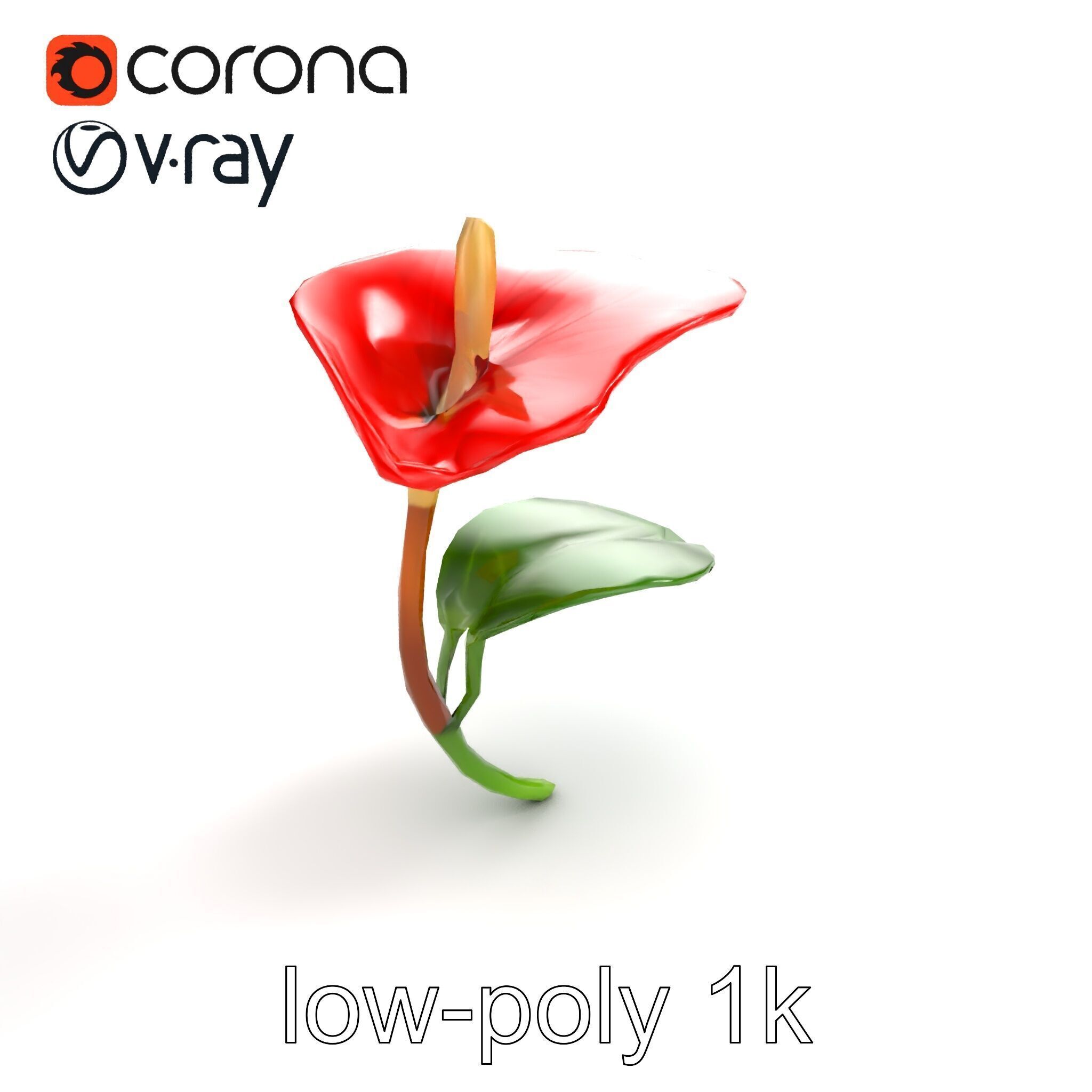 Miniature Anthurium Minor with Bright Petals model pack Low-poly 3D model_9