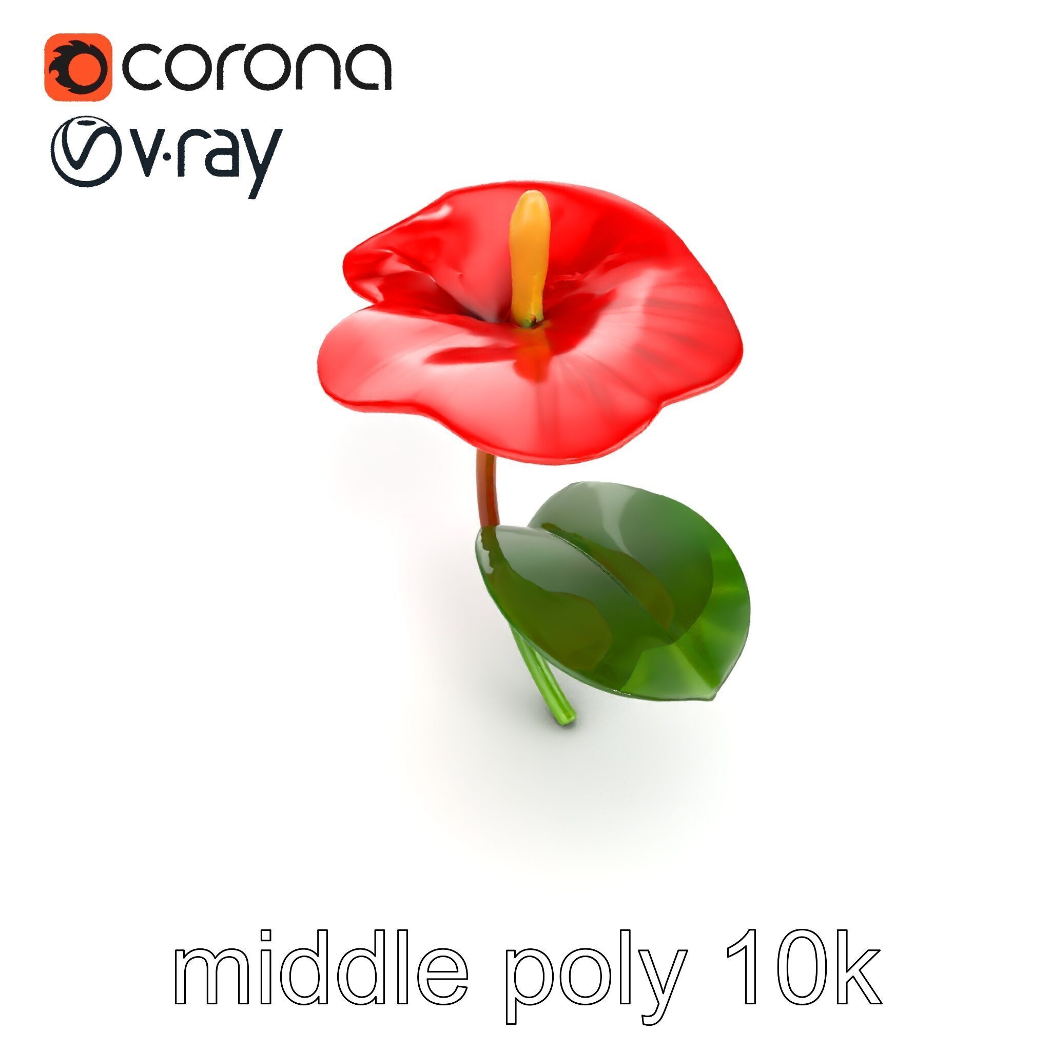 Miniature Anthurium Minor with Bright Petals model pack Low-poly 3D model_14