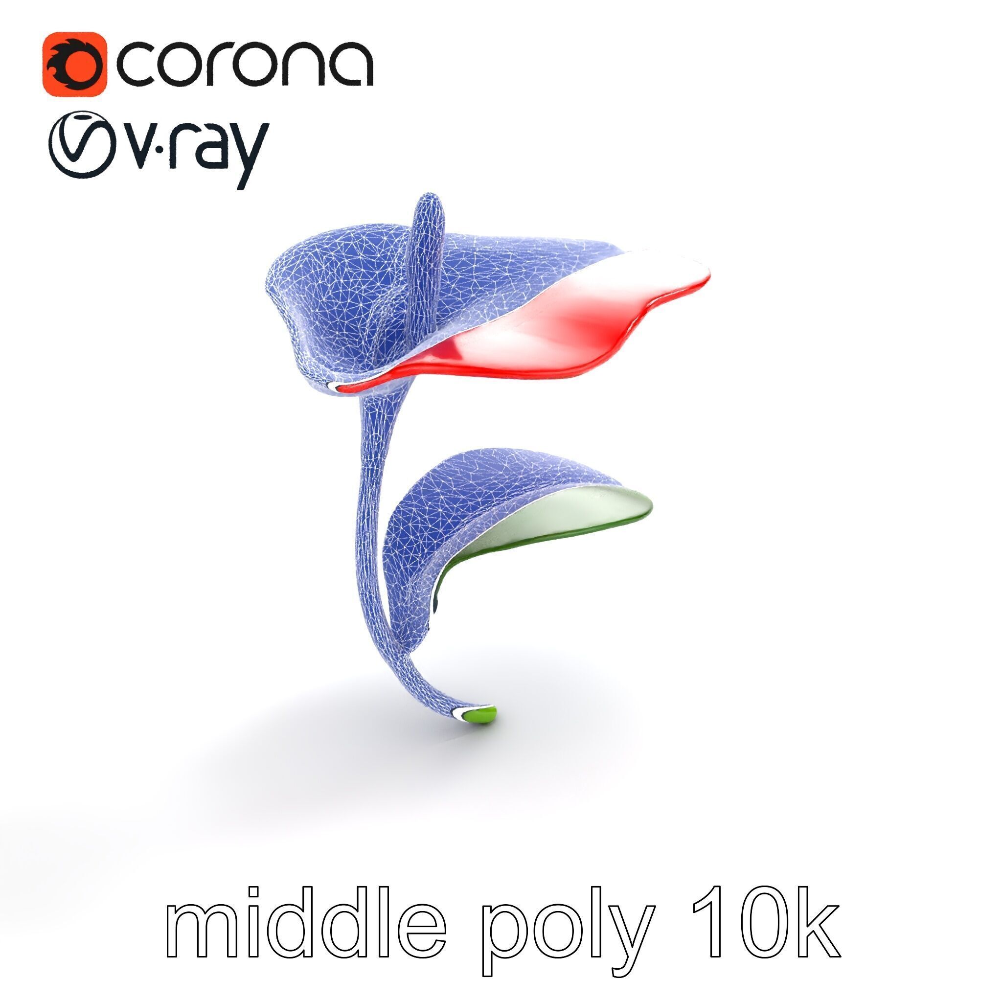 Miniature Anthurium Minor with Bright Petals model pack Low-poly 3D model_11