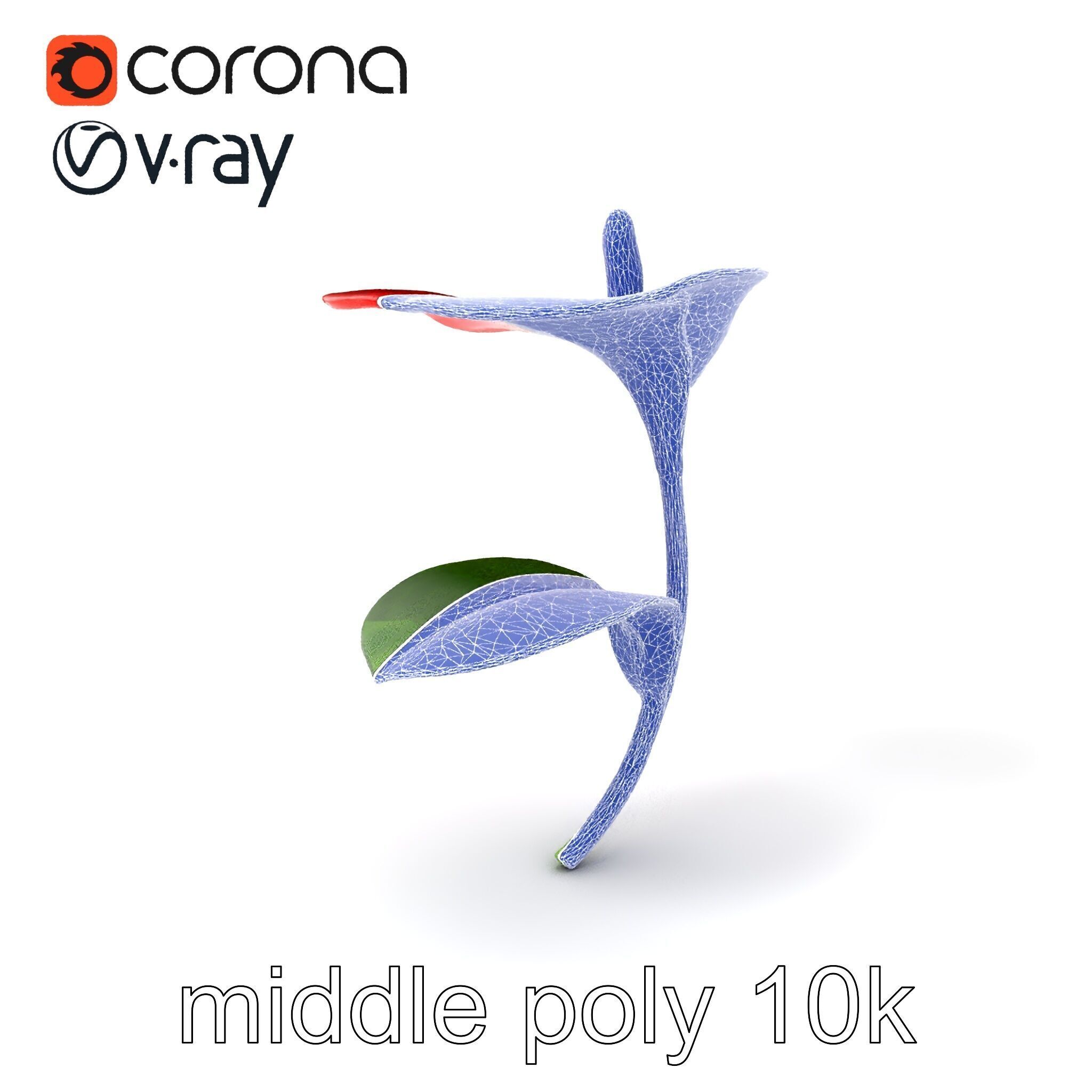Miniature Anthurium Minor with Bright Petals model pack Low-poly 3D model_6