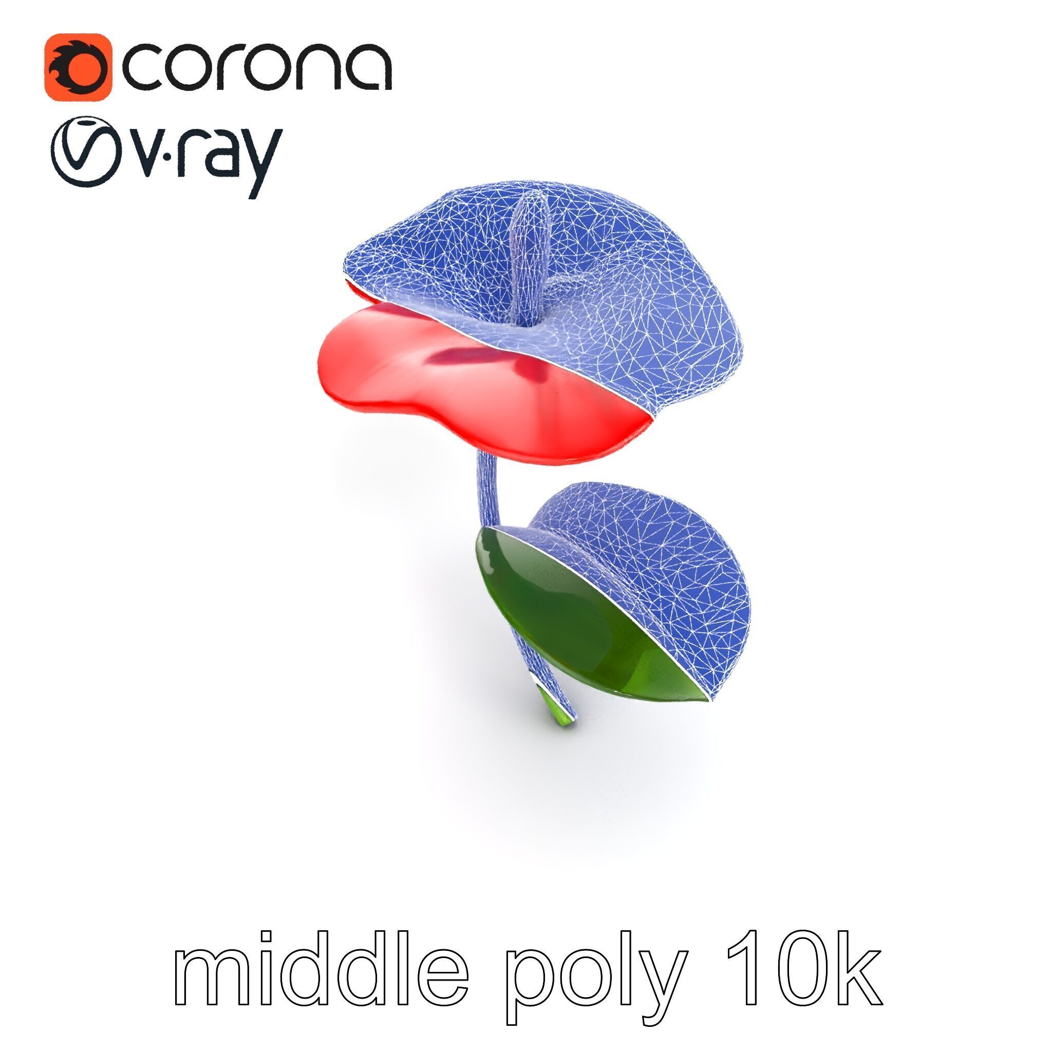 Miniature Anthurium Minor with Bright Petals model pack Low-poly 3D model_28