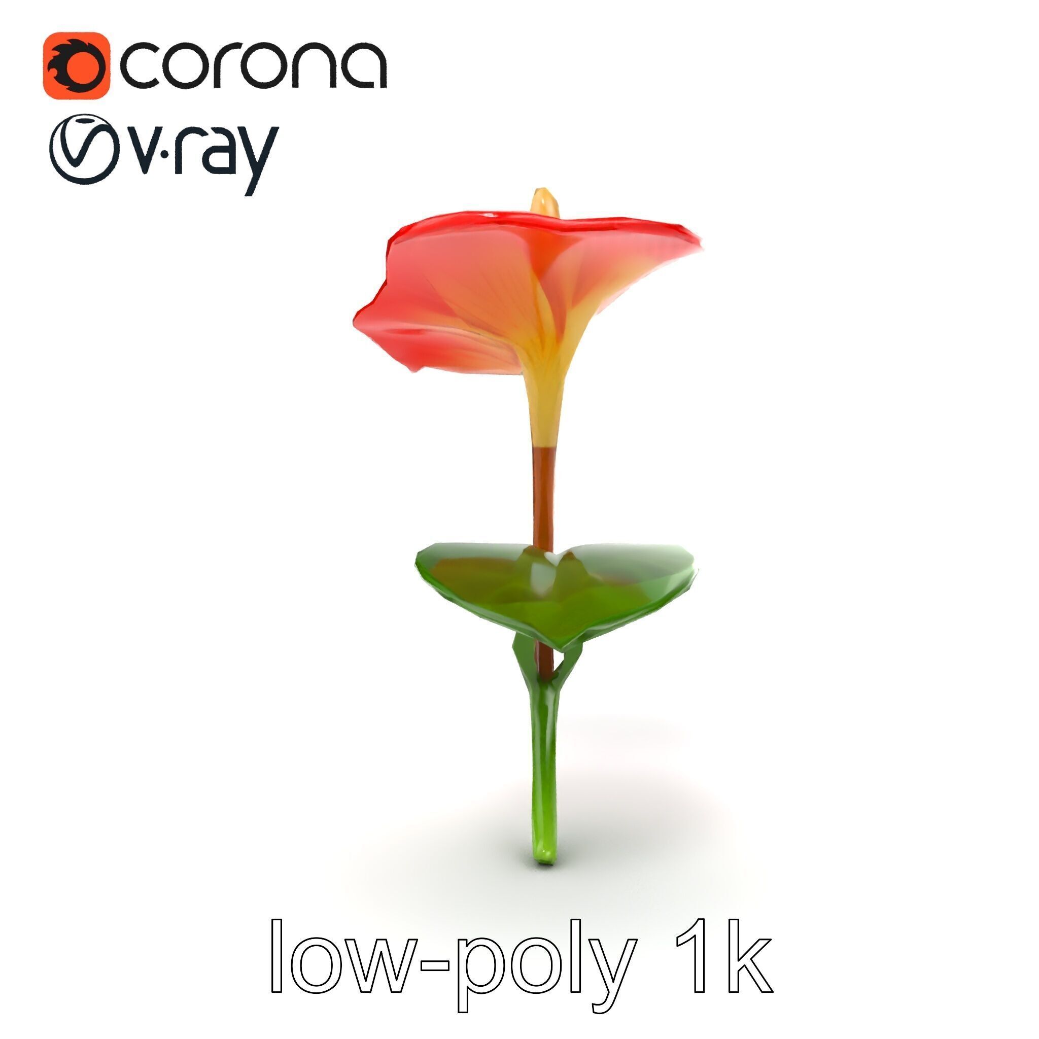 Miniature Anthurium Minor with Bright Petals model pack Low-poly 3D model_20