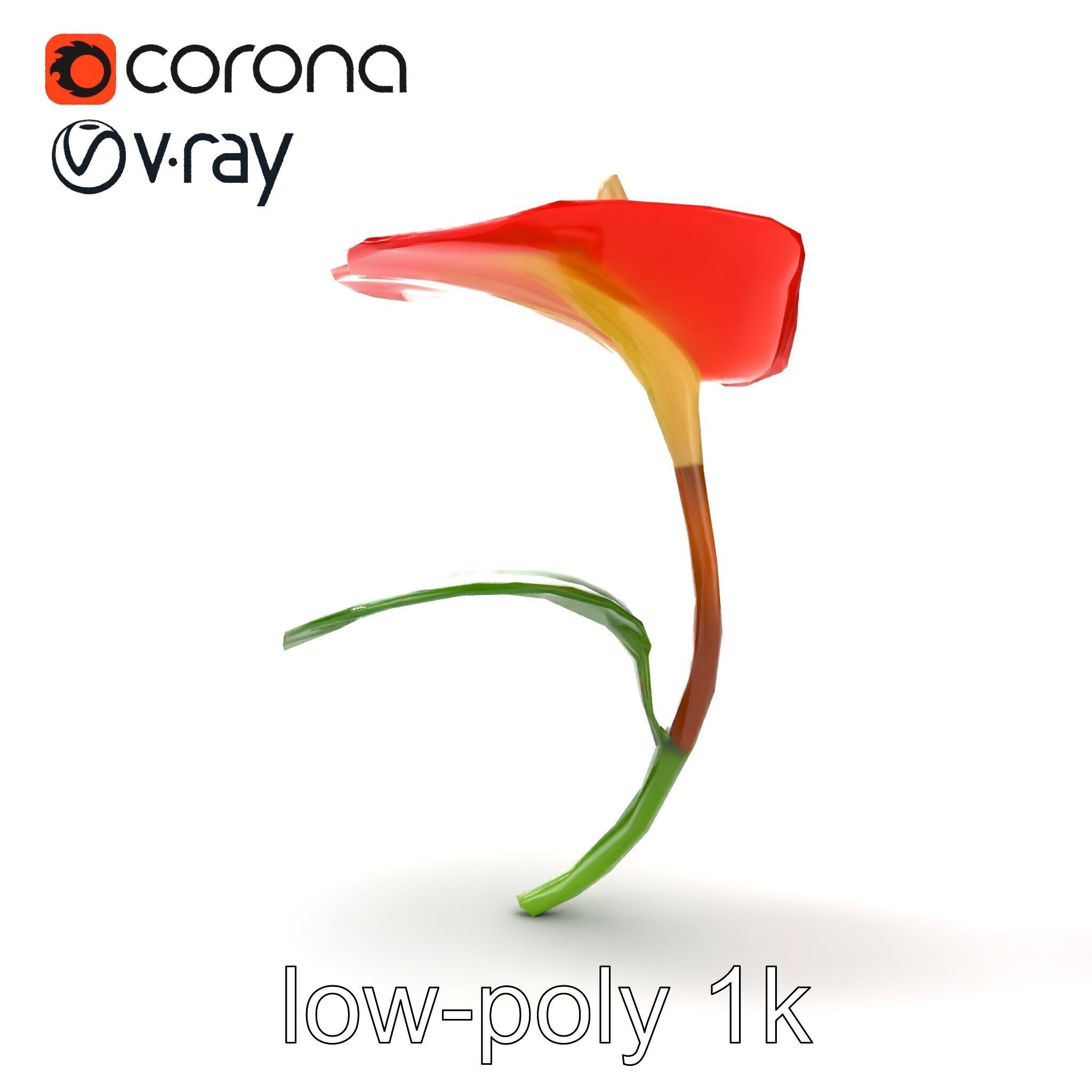 Miniature Anthurium Minor with Bright Petals model pack Low-poly 3D model_23