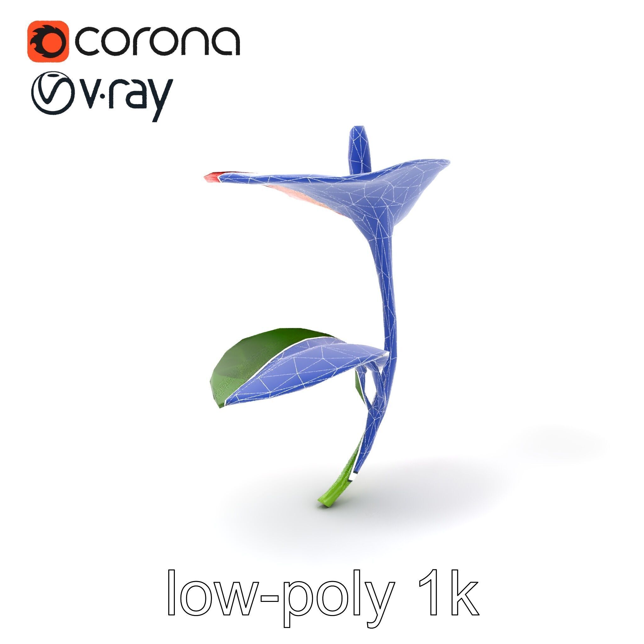 Miniature Anthurium Minor with Bright Petals model pack Low-poly 3D model_7