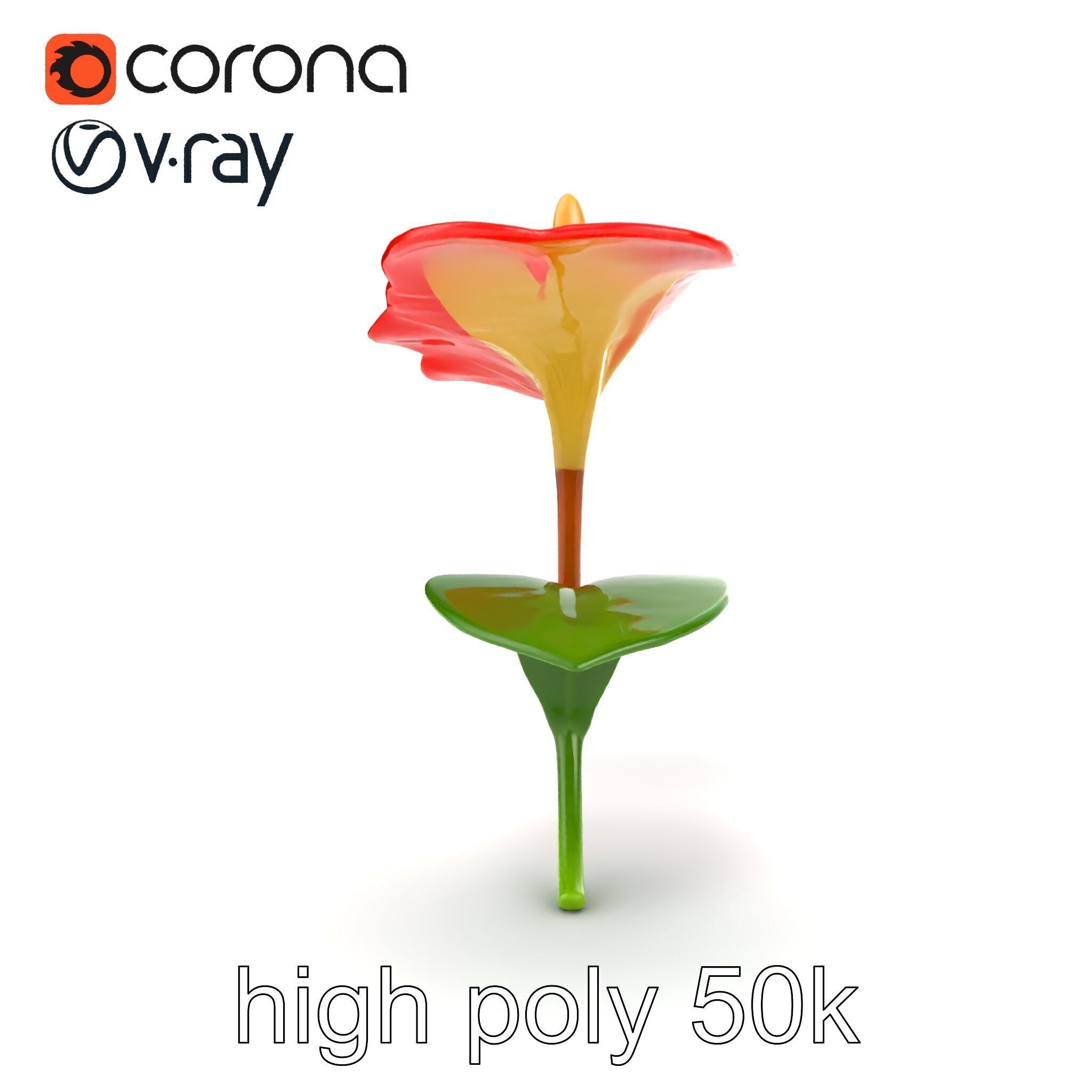 Miniature Anthurium Minor with Bright Petals model pack Low-poly 3D model_22