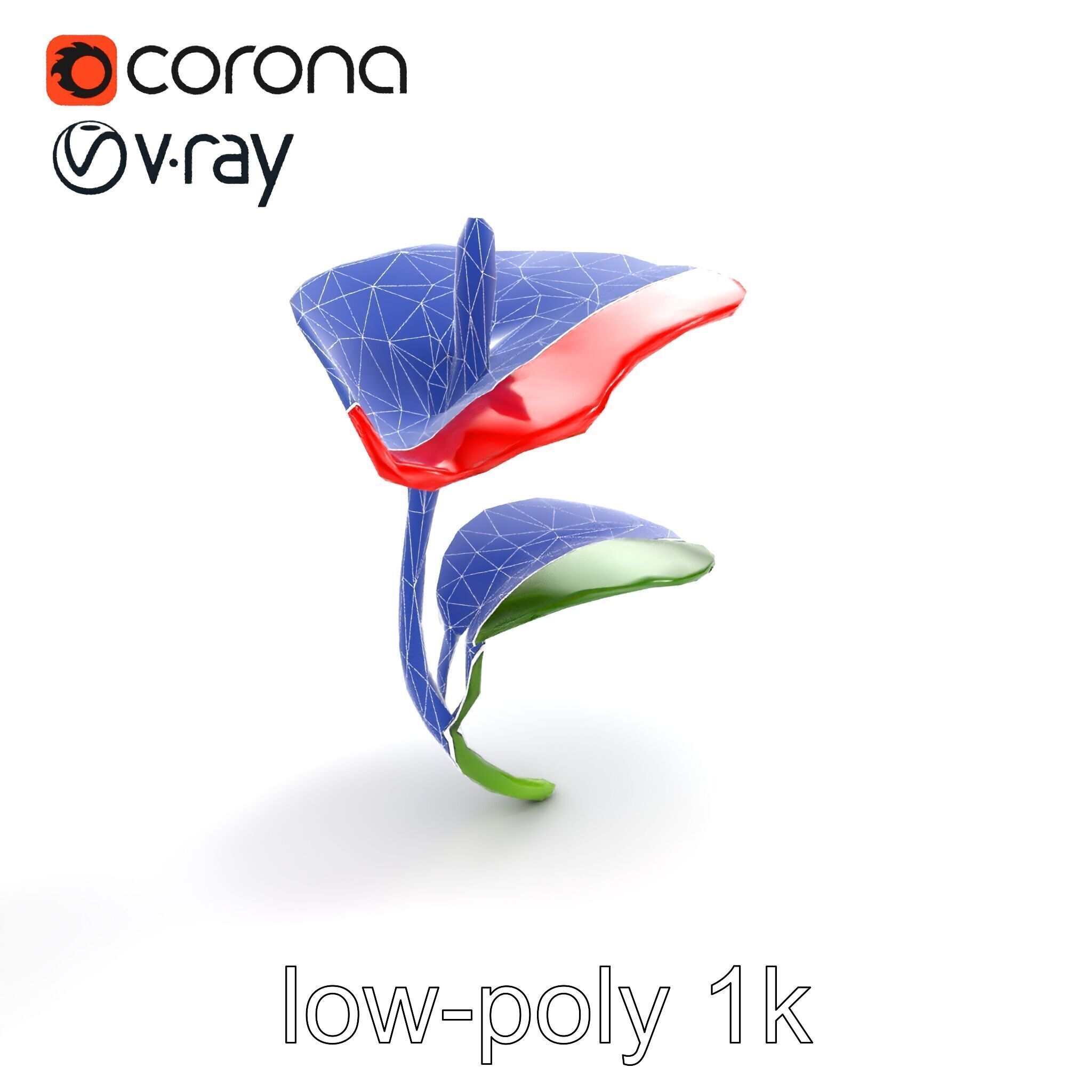 Miniature Anthurium Minor with Bright Petals model pack Low-poly 3D model_12