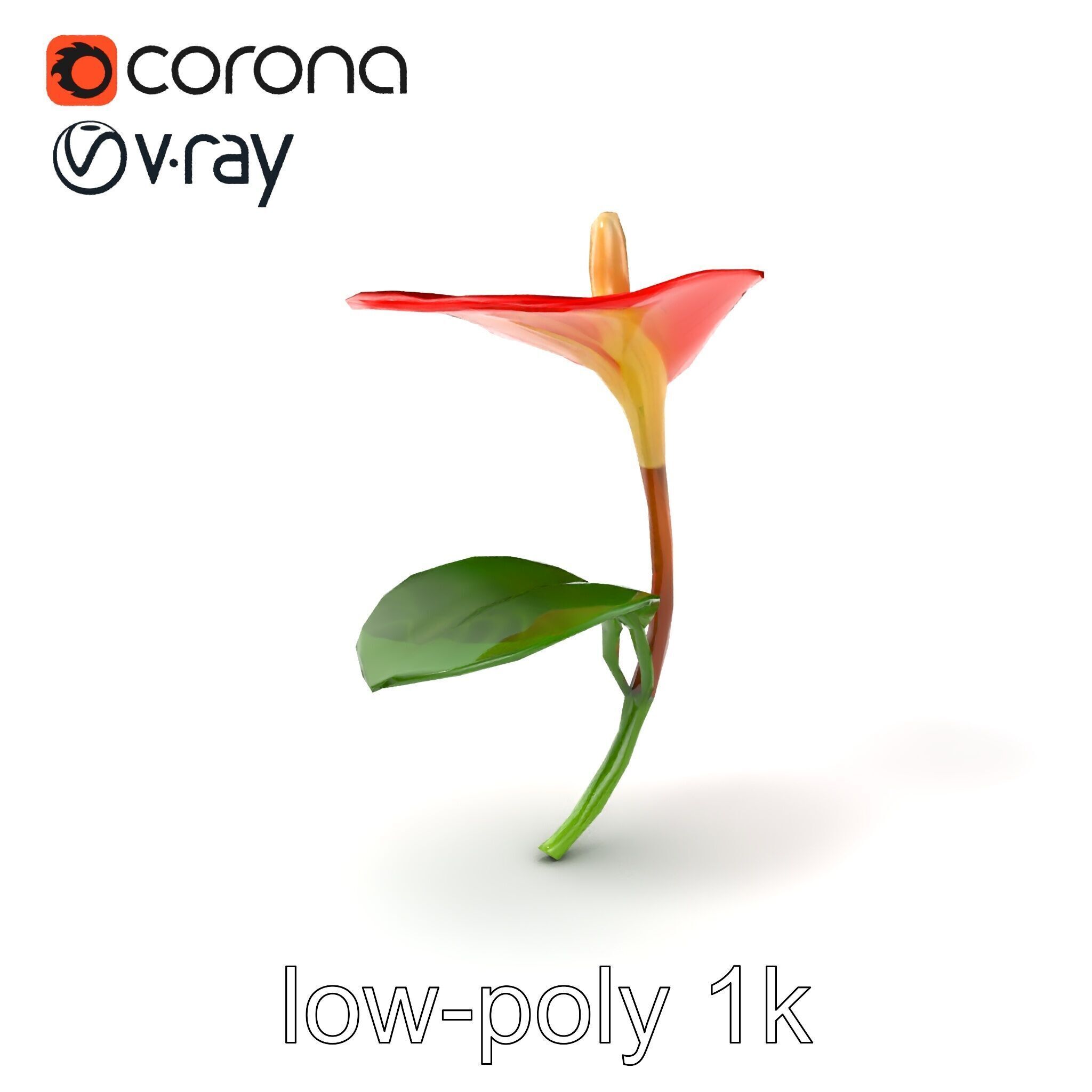 Miniature Anthurium Minor with Bright Petals model pack Low-poly 3D model_5