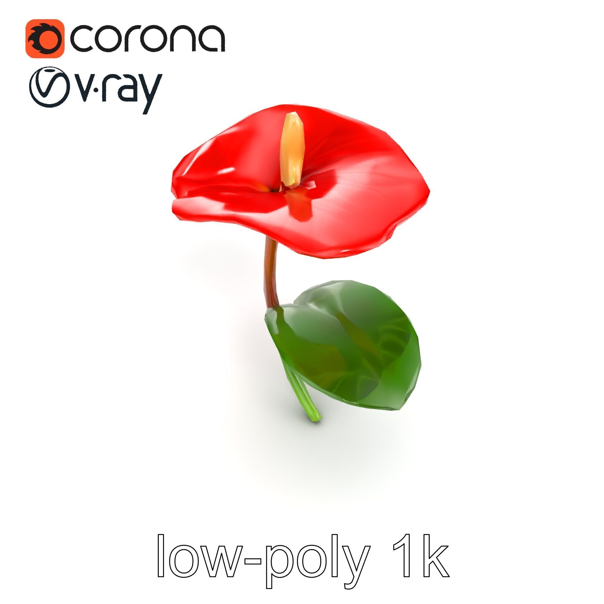 Miniature Anthurium Minor with Bright Petals model pack Low-poly 3D model_17