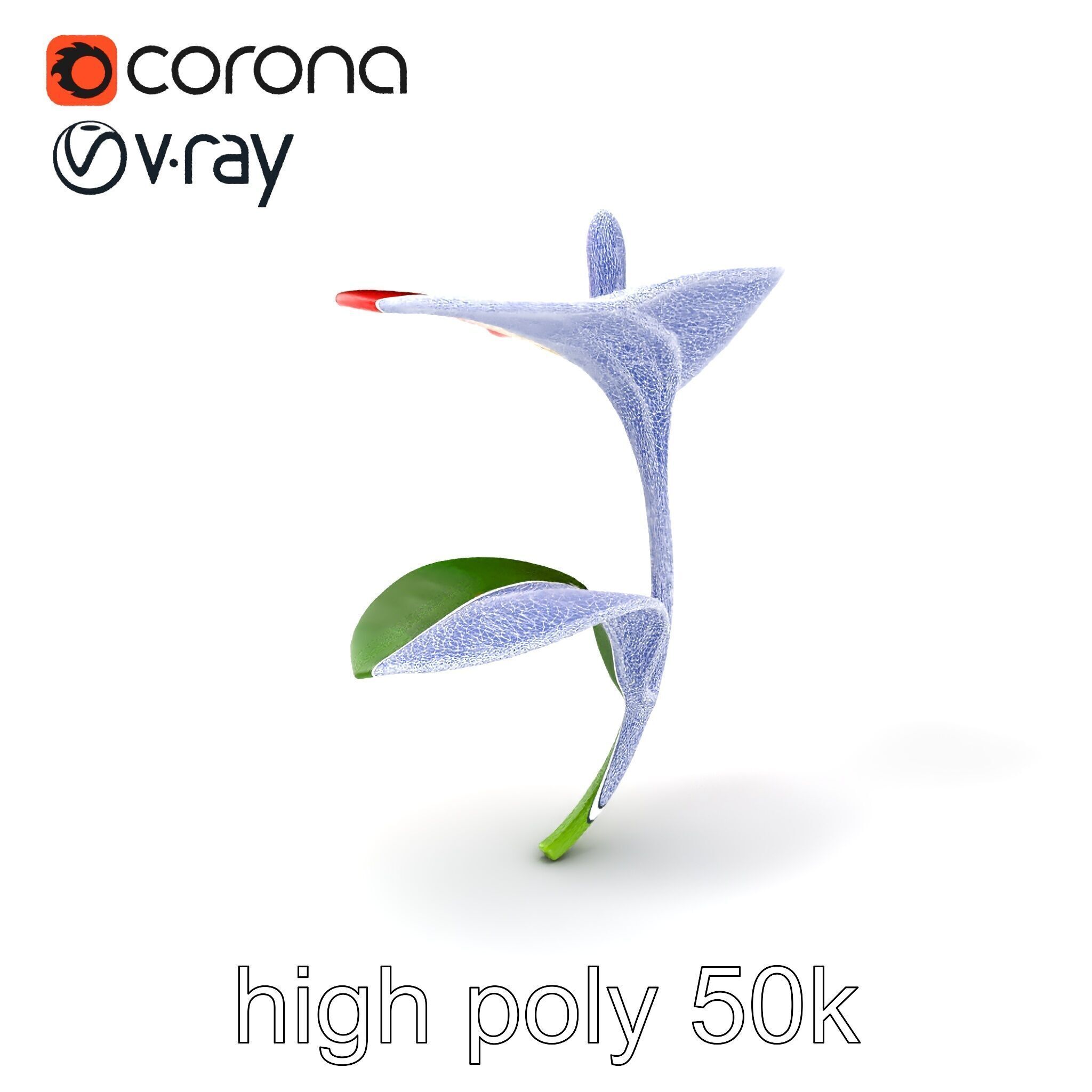 Miniature Anthurium Minor with Bright Petals model pack Low-poly 3D model_10