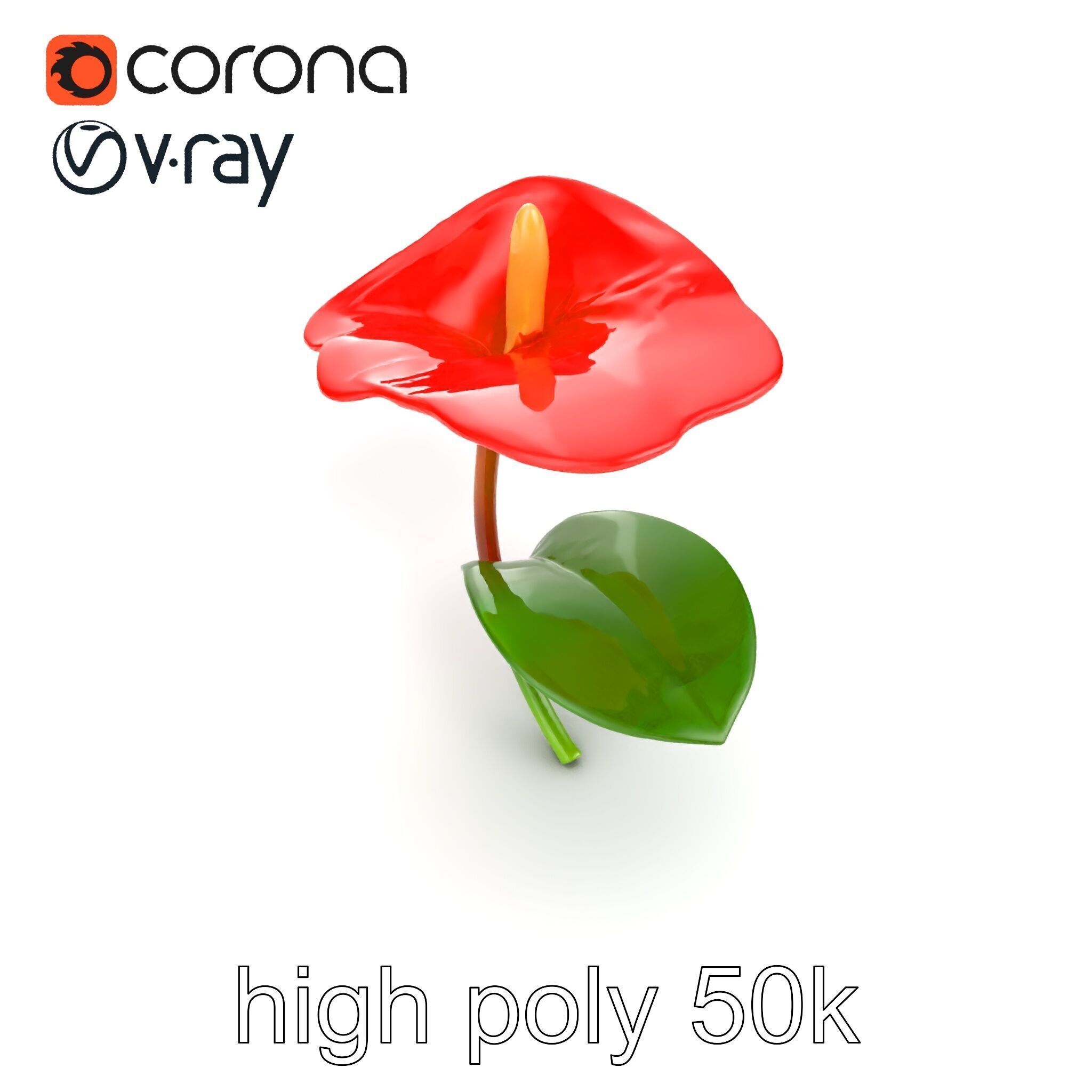 Miniature Anthurium Minor with Bright Petals model pack Low-poly 3D model_13